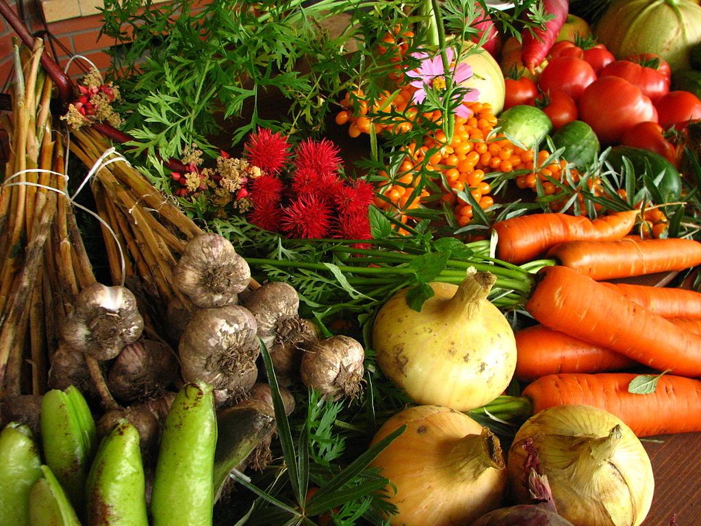 1024x768 Is Organic Farming Really Better? It Depends