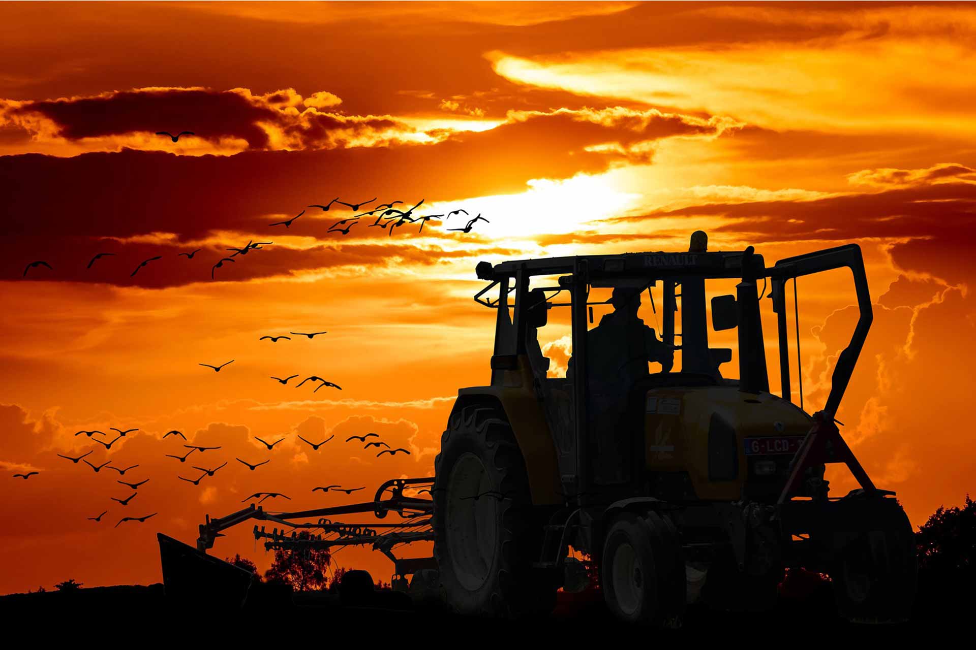 1920x1280 What is Organic Farming? Why do we need Organic Agriculture?