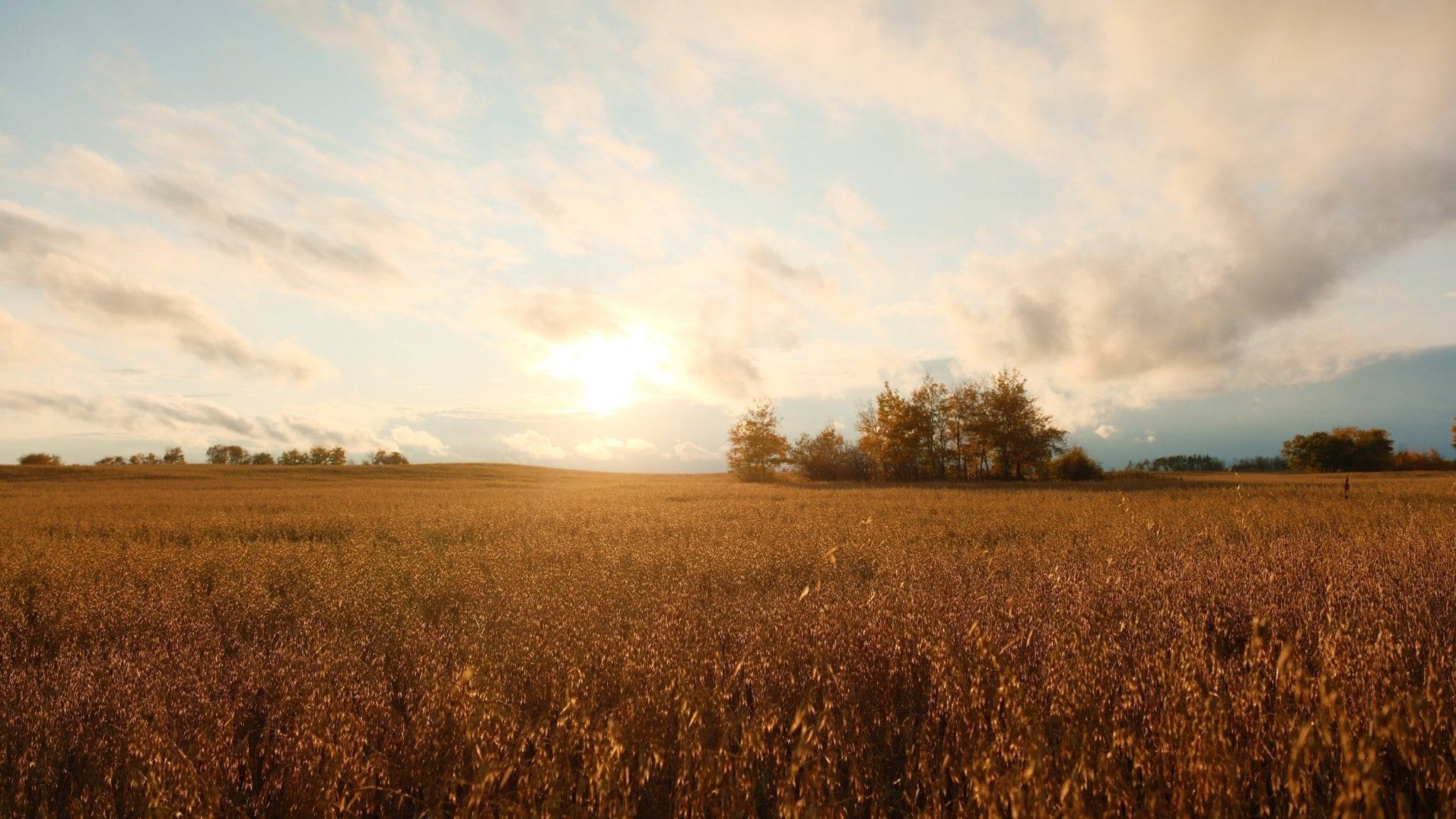 2048x1152 Growing a Brighter Food Future: How the ROO Initiative is Inspiring a