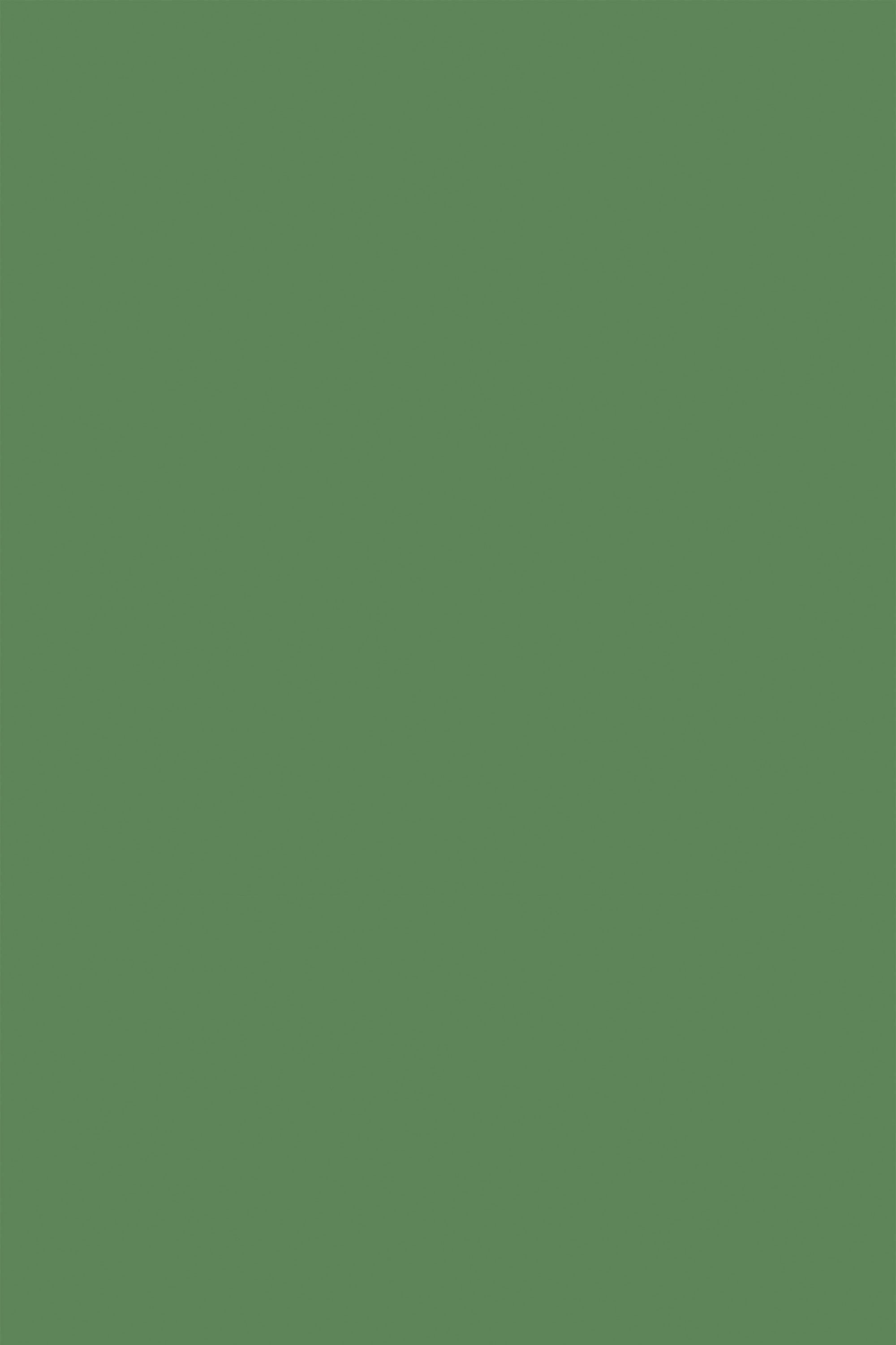 2000x3000 Solid dark green Wallpaper