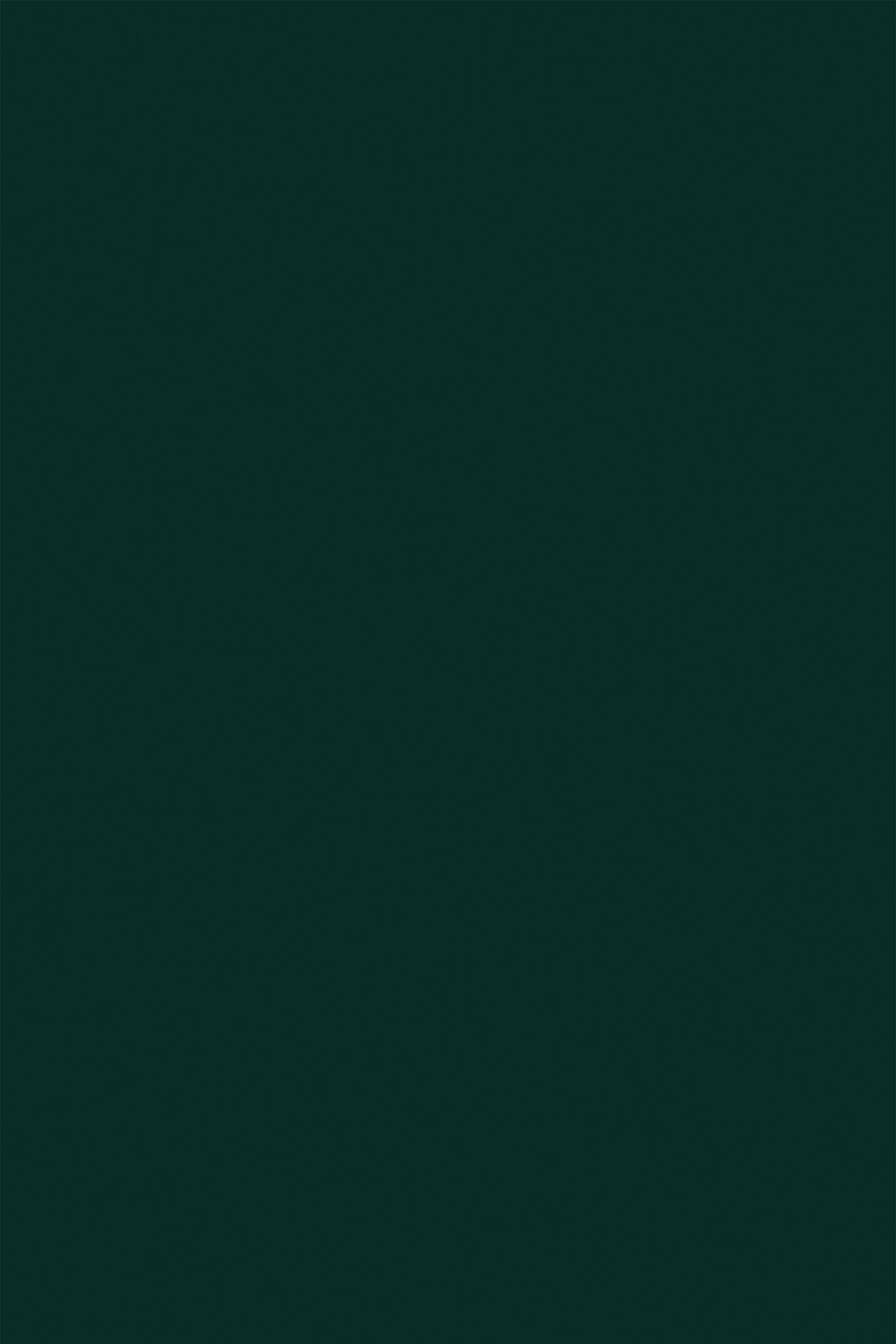 2000x3000 Forest green solid Wallpaper