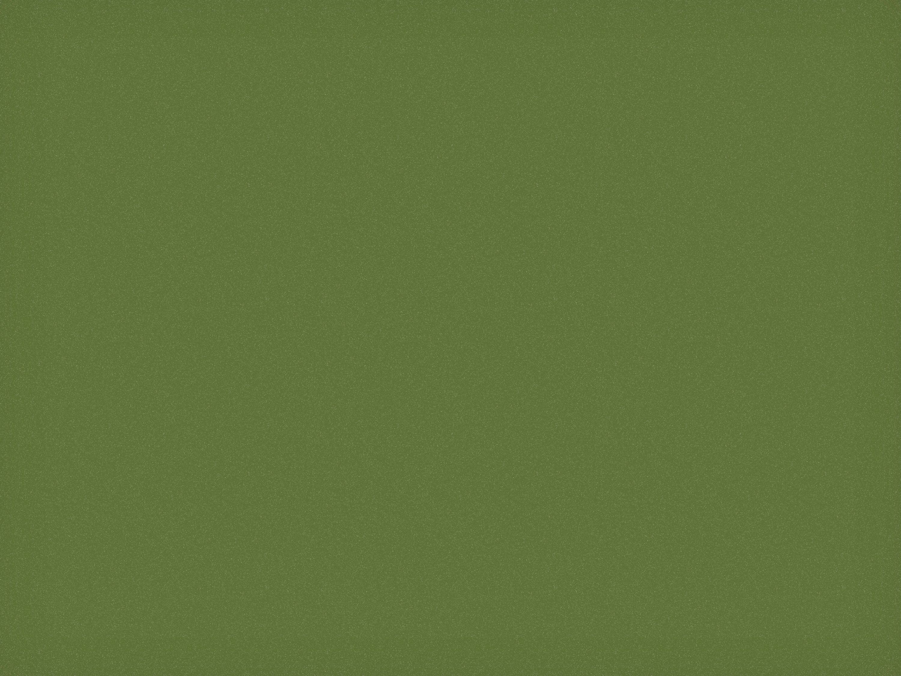 3000x2250 A solid green background fills the frame. photo