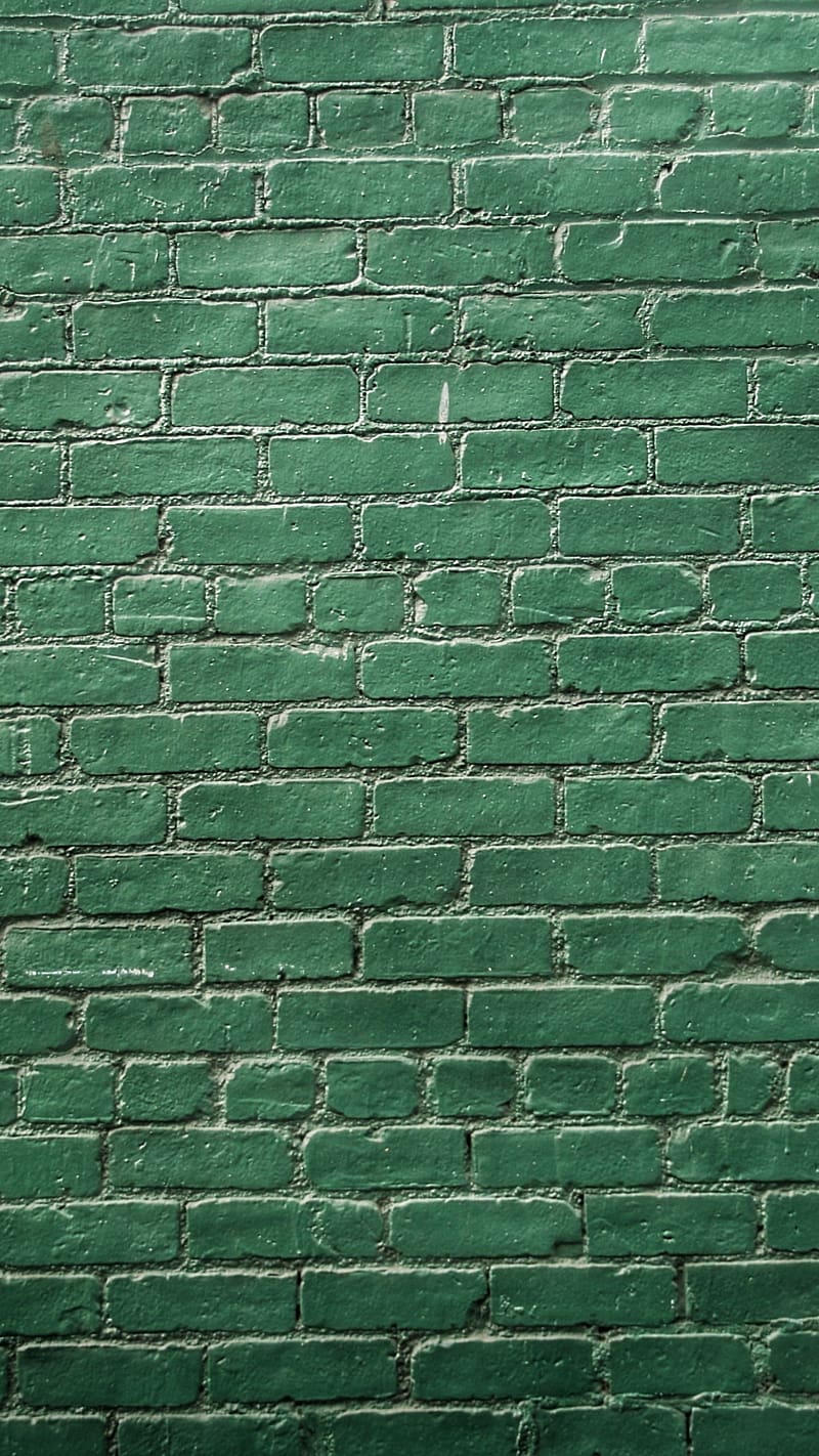 800x1422 Plain Green, dark green wall, green, HD phone wallpaper