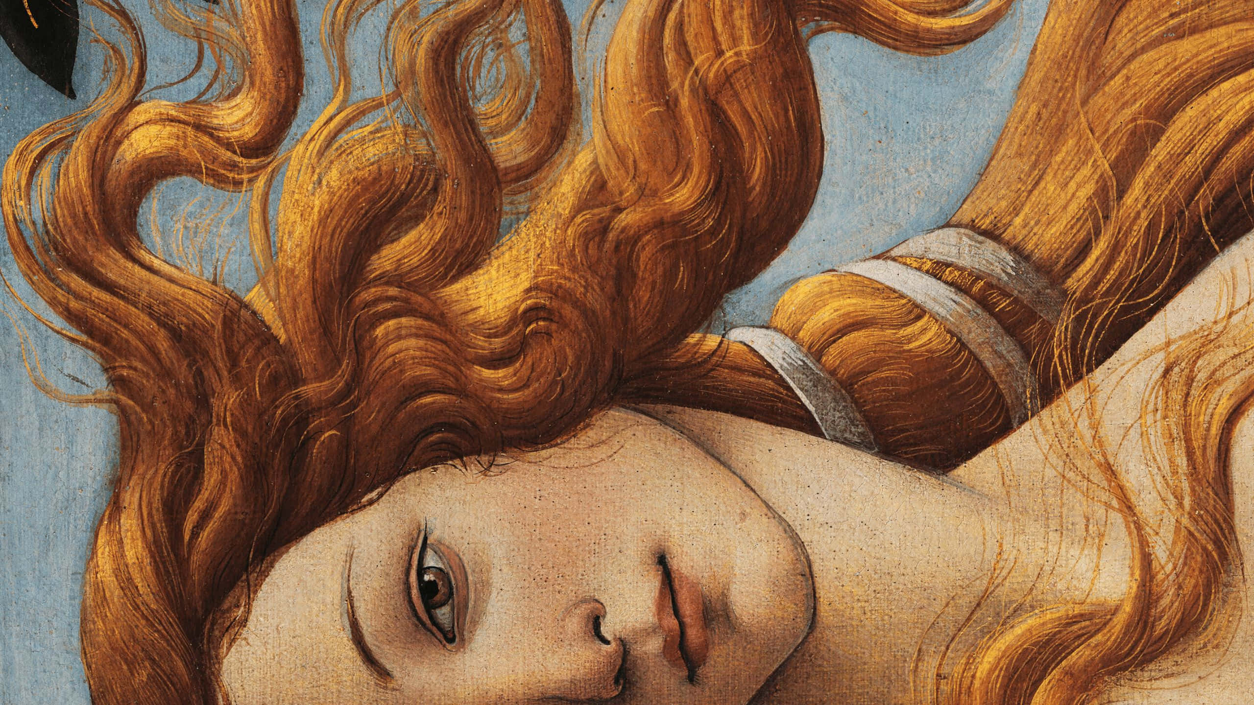 2560x1440 Download The Renaissance: A time of cultural flourishing Background