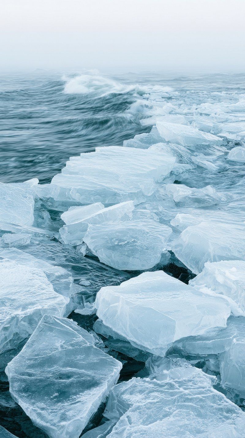 800x1427 Frozen Ocean Image Wallpaper