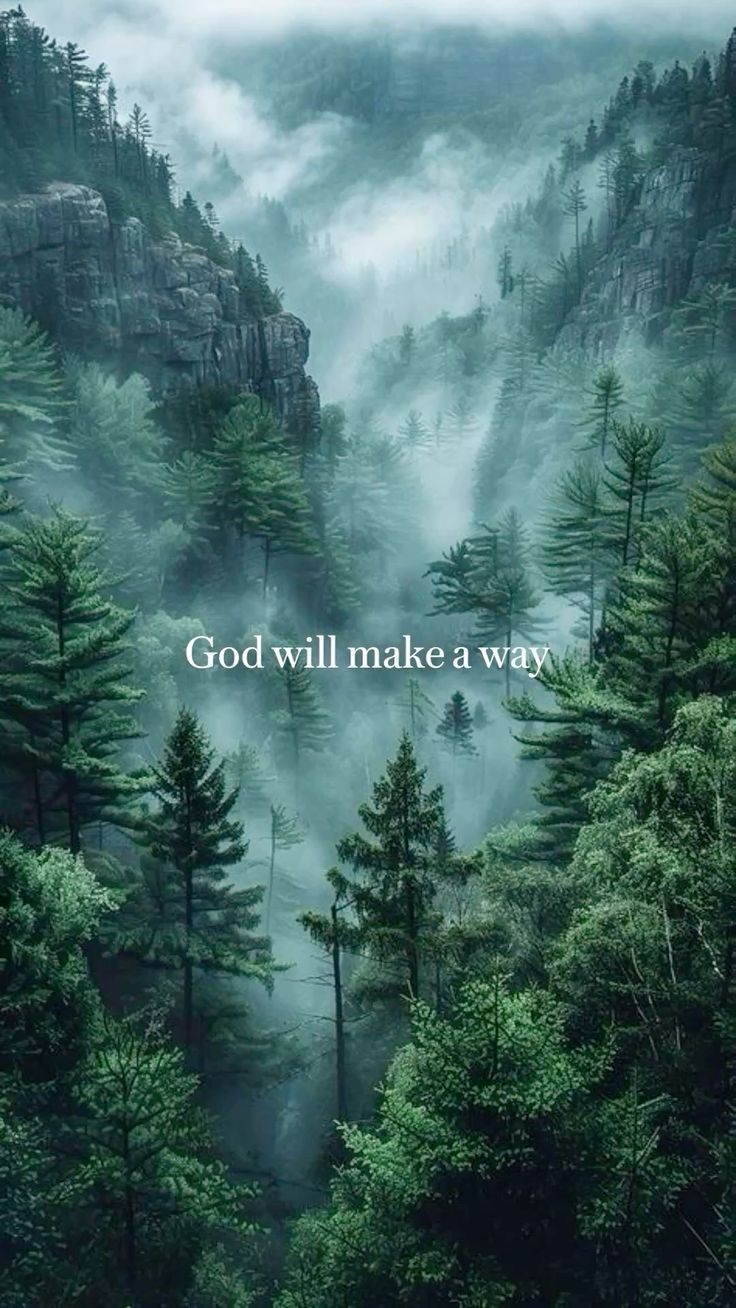 736x1308 God nature wallpaper. Gods beauty quotes nature, Christian quotes wallpaper, God will make a way