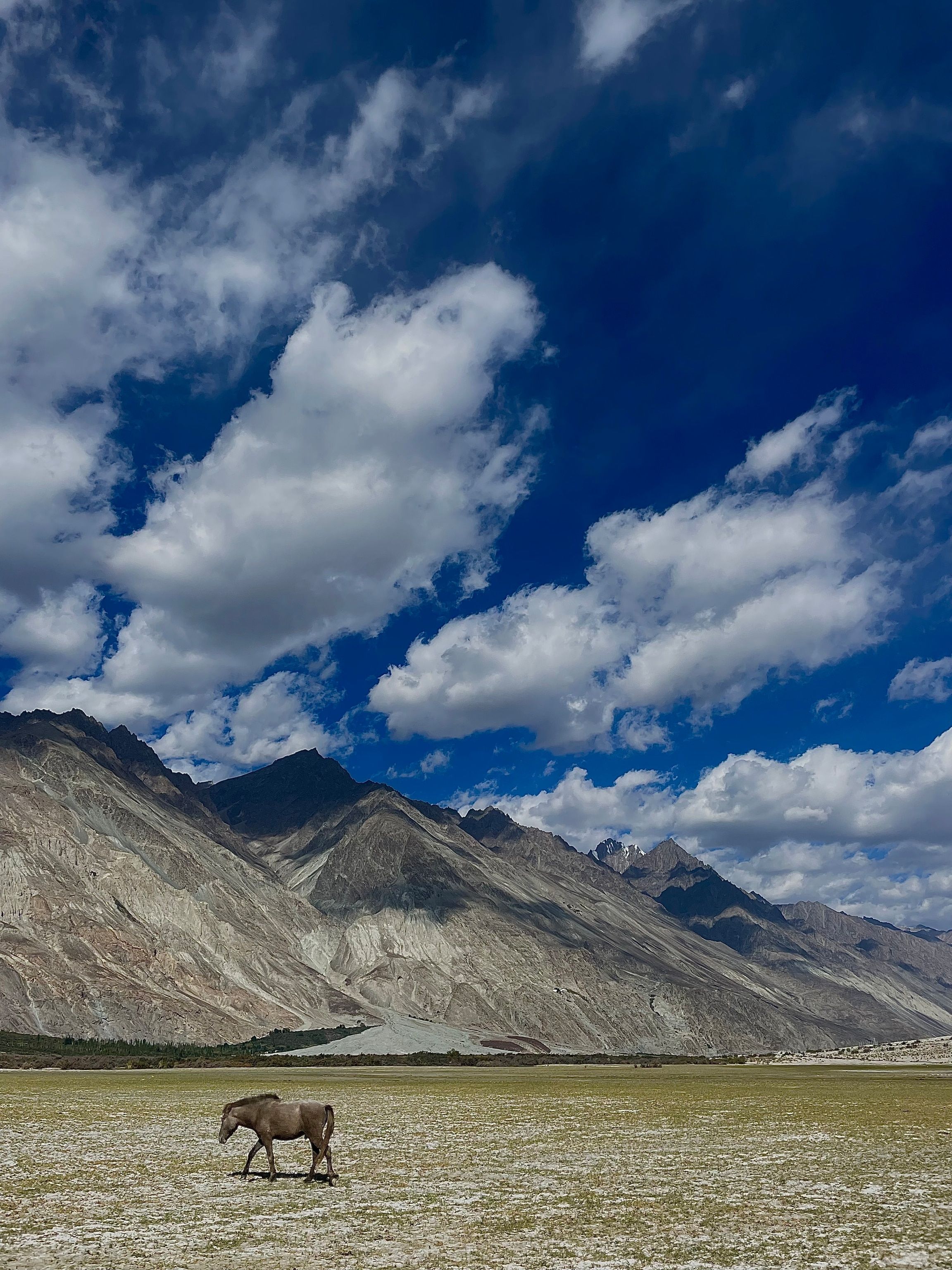 2304x3072 How to explore the hidden world of Ladakh, India