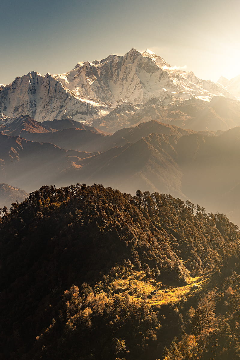 800x1200 Early morning, forest, mountain, mountains, snow, snowy, sun, HD phone wallpaper