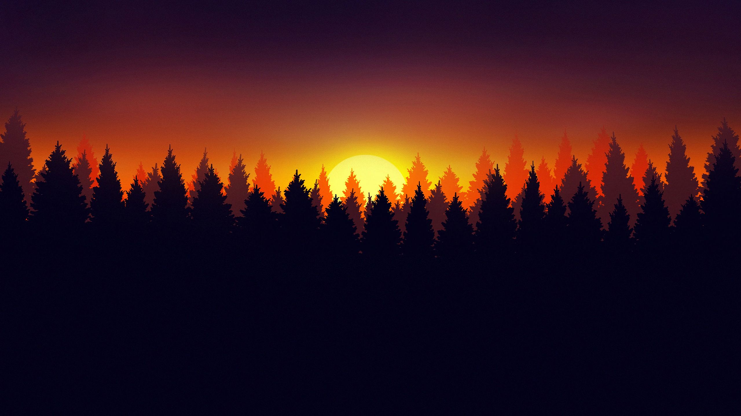 2560x1440 Forest Early Morning Wallpaper, HD Artist Wallpaper, 4k Wallpaper, Image, Background, Photos and Picture