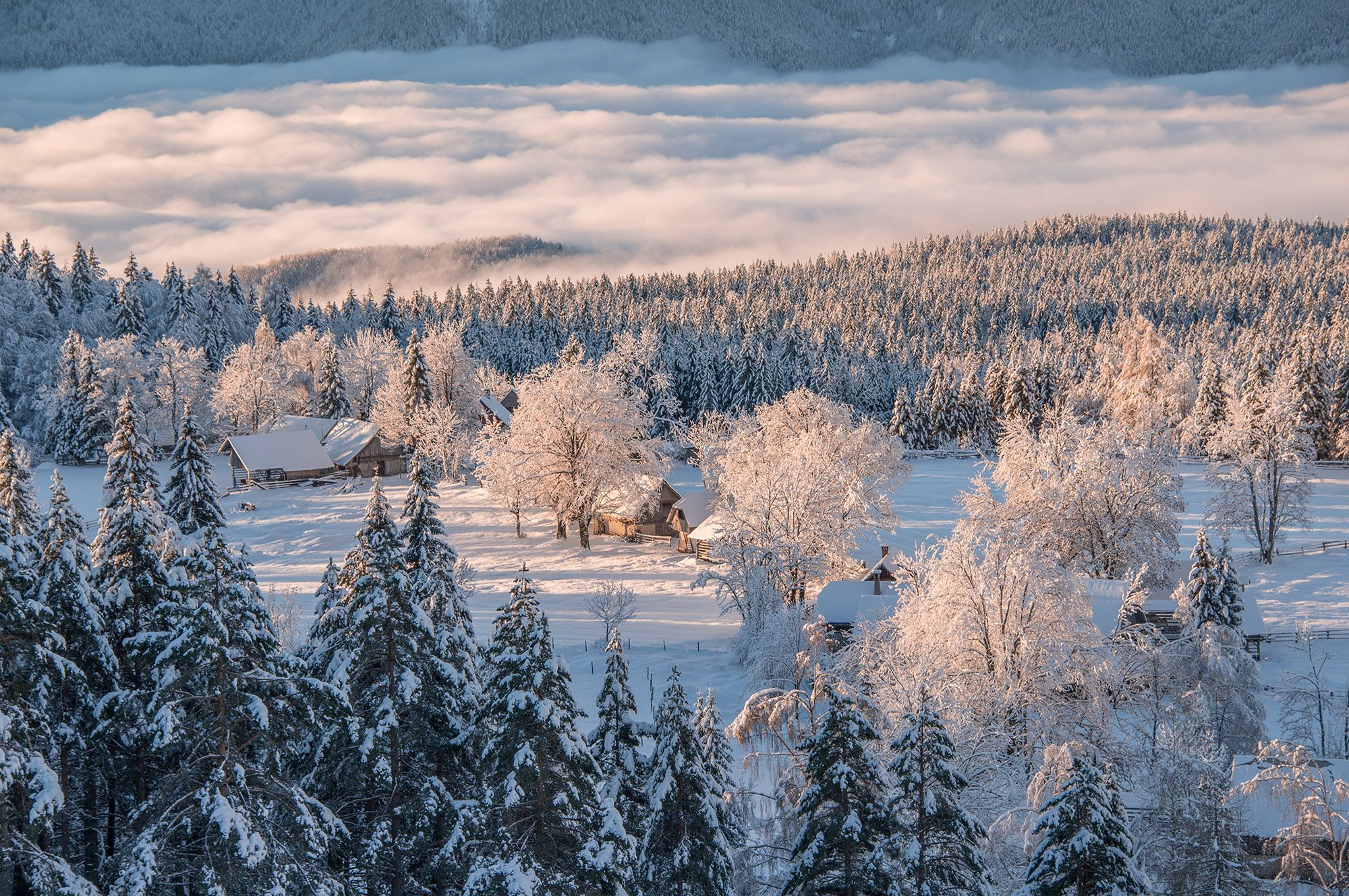 2000x1329 Dreamy Pixel. Uskovnica on a winter morning