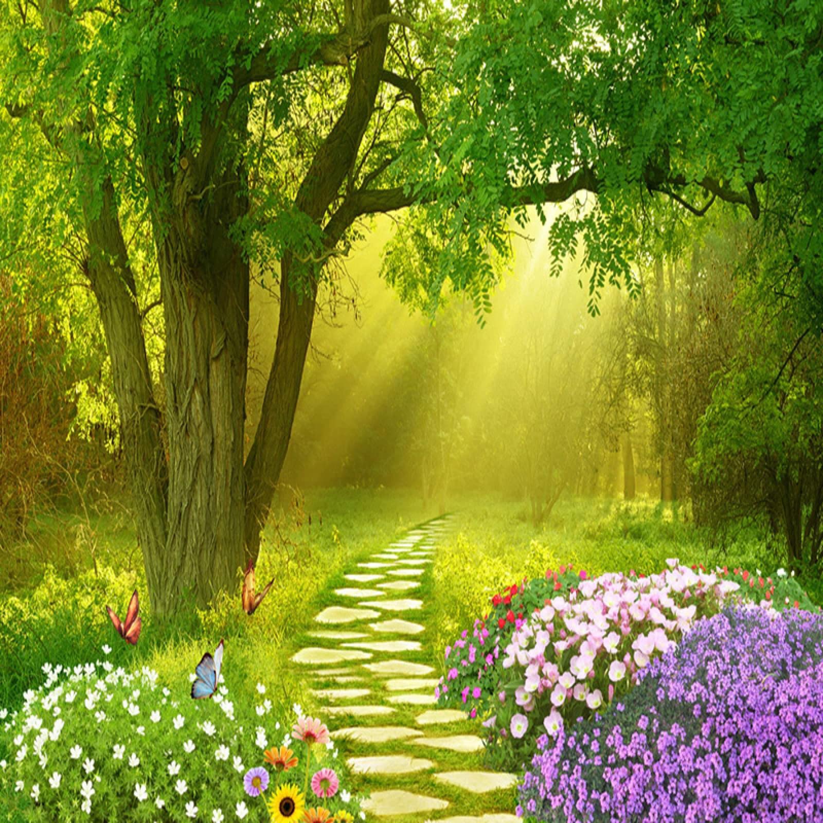 1600x1600 Early Morning Sunlight Forest 3D Photo Wallpaper Mural, Flowers Butterflies Forest Small Road Mural Wallpaper, Wall Decor for Living Room Bedroom Study TV Background Mural 100(W x H)
