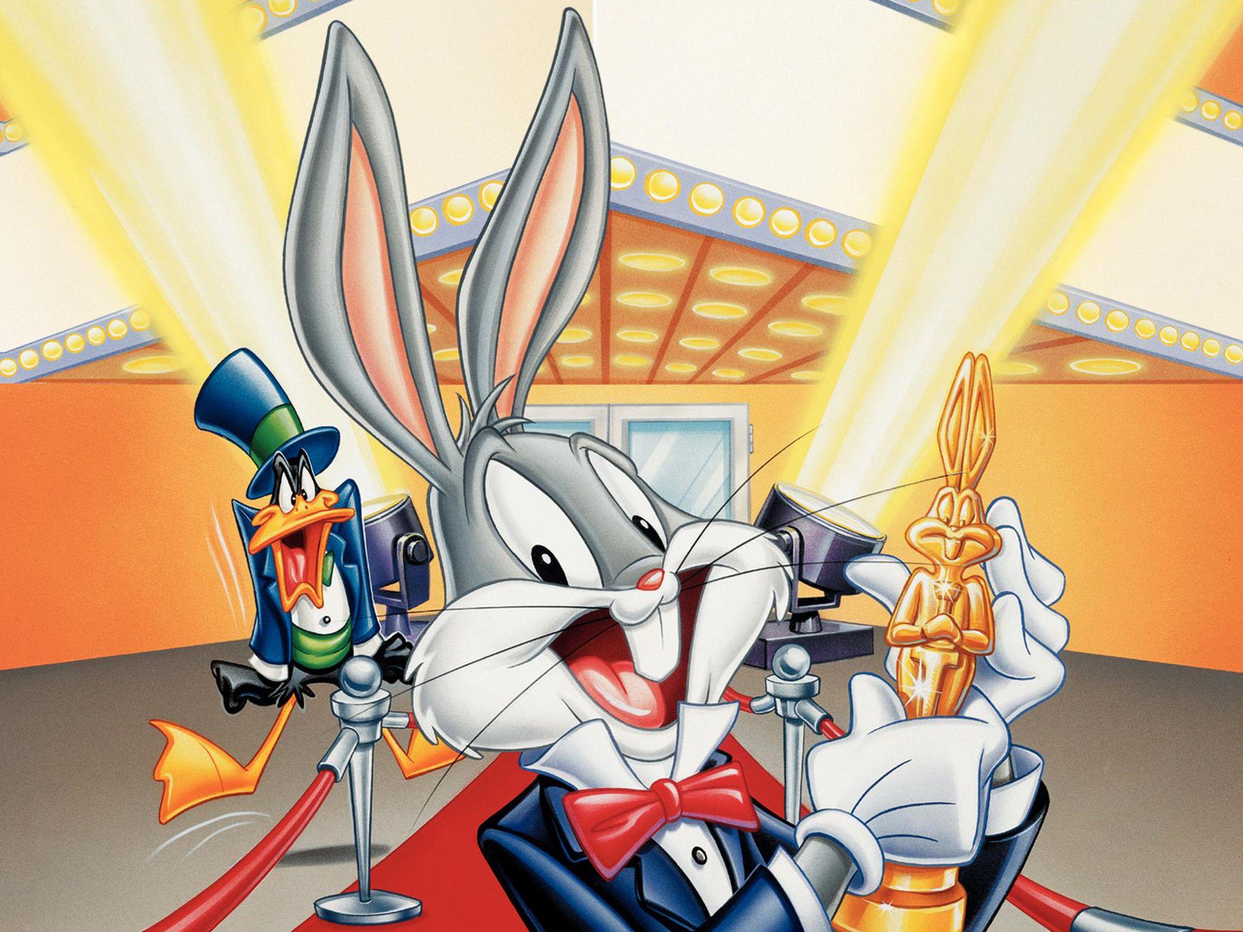 2560x1920 Bugs Bunny Wallpaper 19445 2560x1920 px