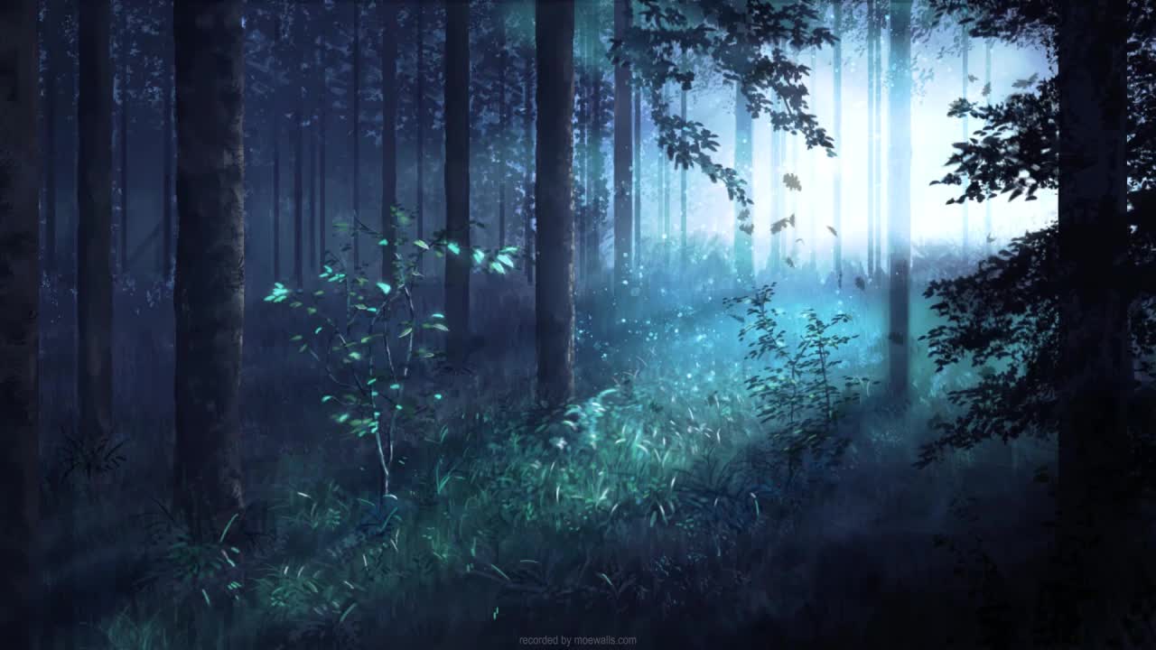 1280x720 In The Early Morning Forest HD Live Wallpaper For PC Live Wallpaper