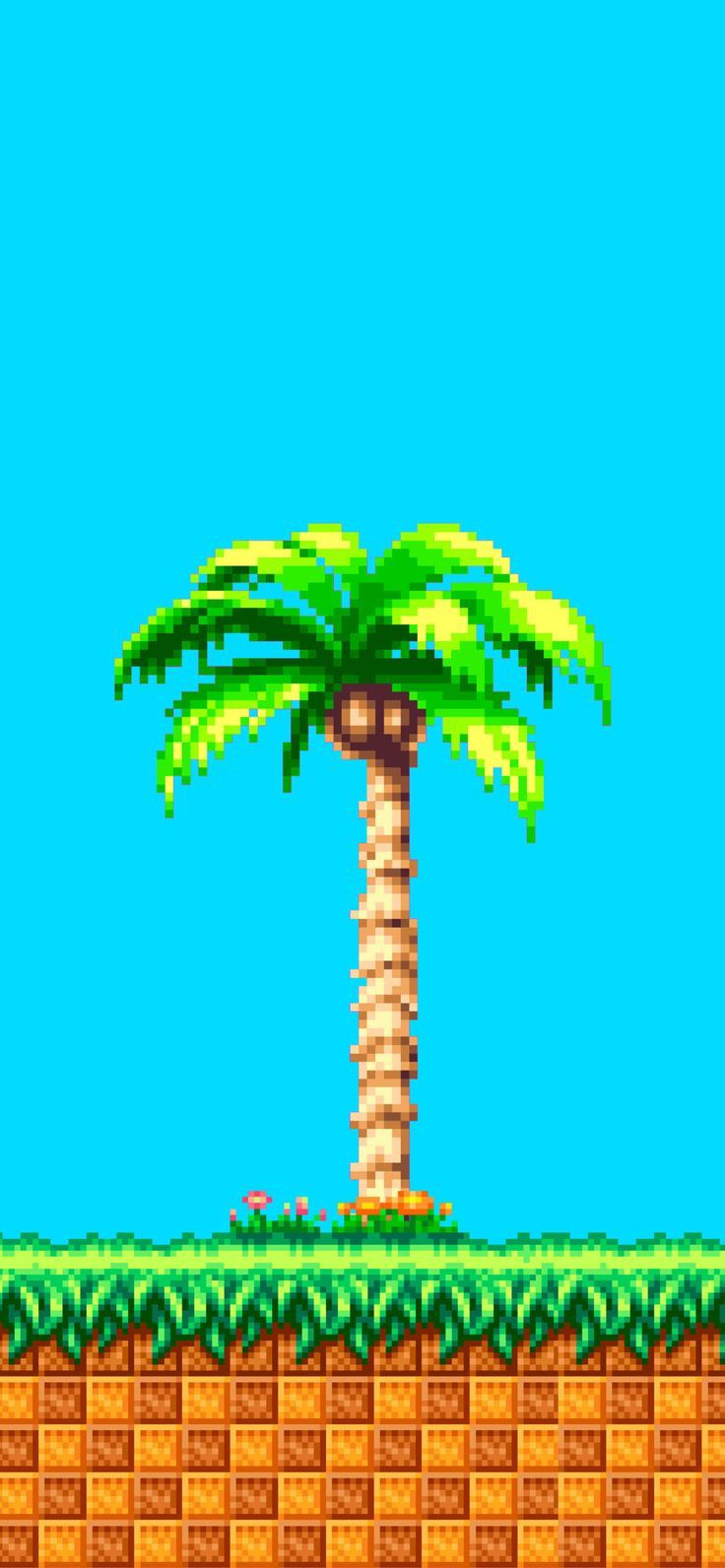 736x1592 Sonic Advance Wallpaper