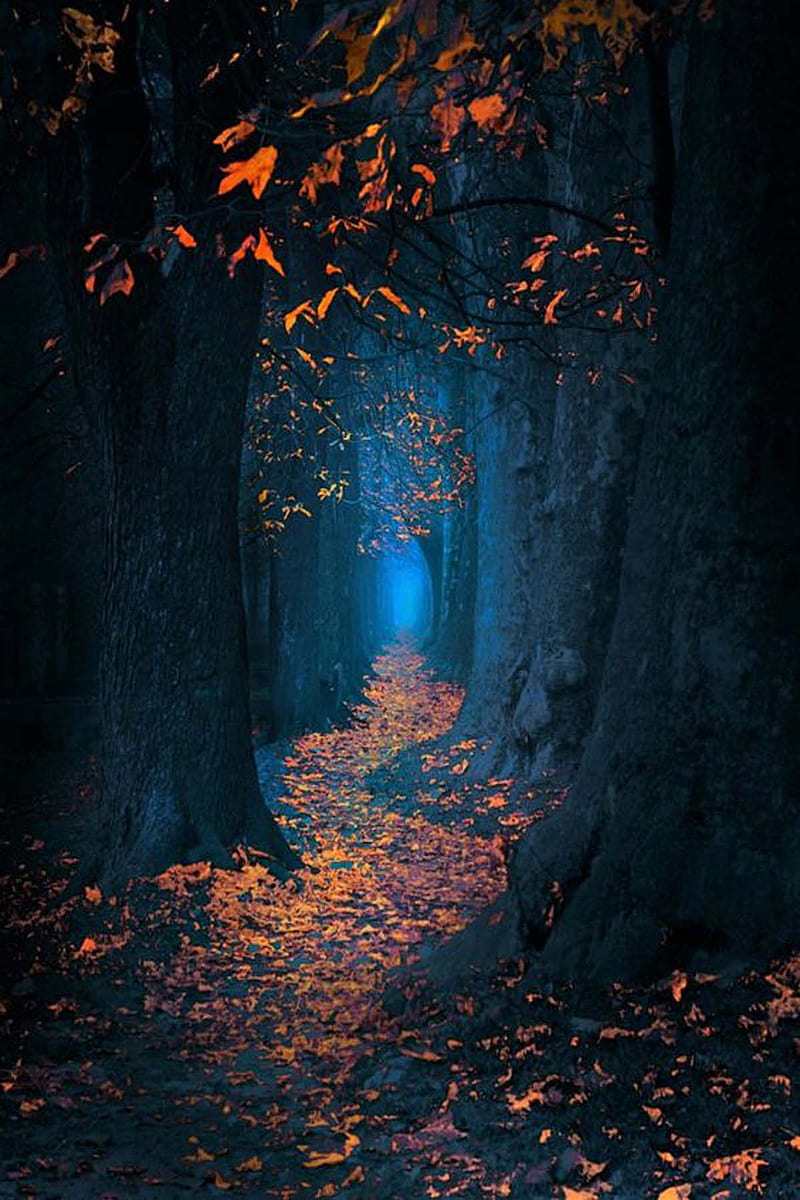 800x1200 HD dark country wallpaper