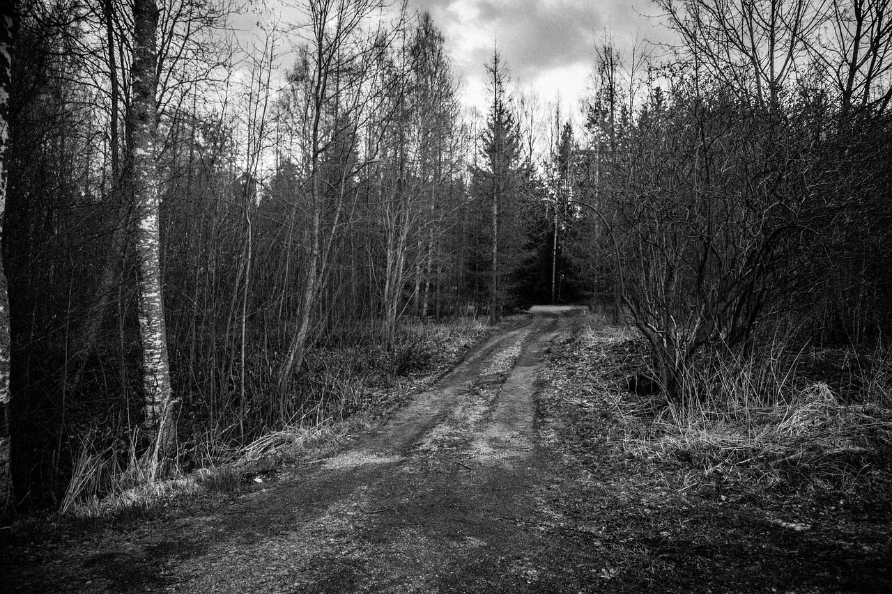 1280x853 Dark Country Road Black And White