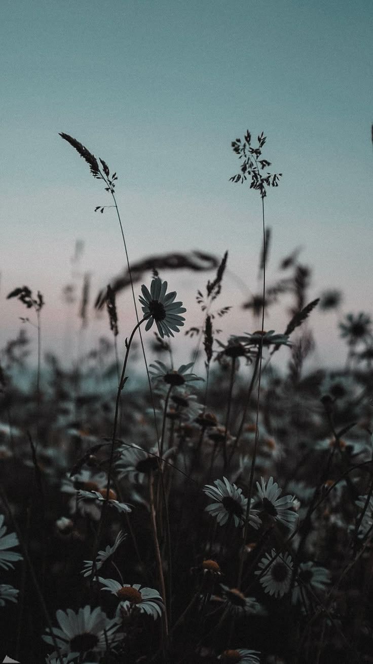 736x1308 Beautiful Nature Photography with Scenic Wallpaper. Simple country aesthetic wallpaper, Dark country wallpaper, Moody nature