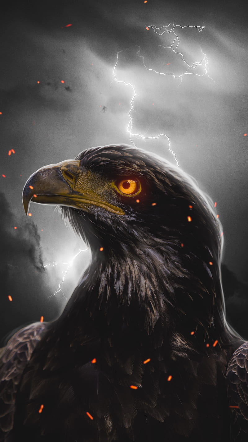800x1422 HD dark country wallpaper