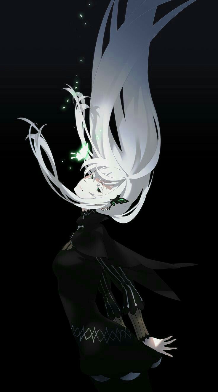736x1324 Echidna Wallpaper Re Zero