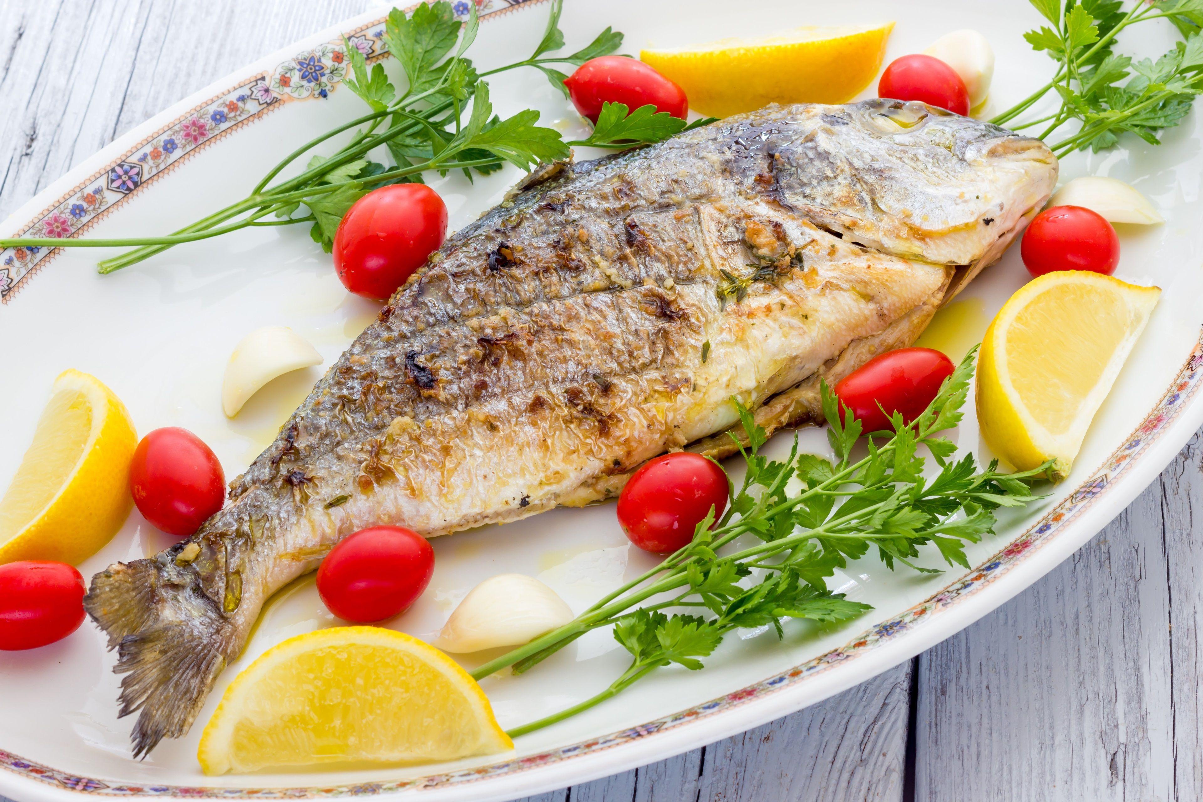 3840x2560 fish 4k wallpaper free download for pc HD wallpaper, Background