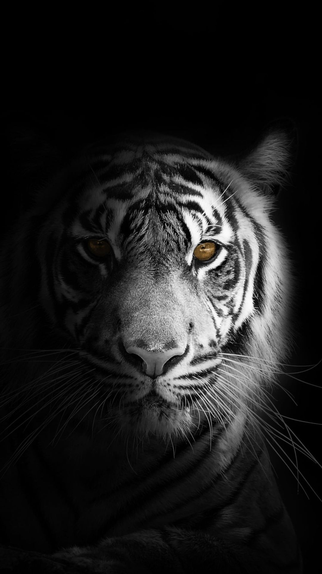 1080x1920 Best Black and White iphone Wallpaper [ HQ ]