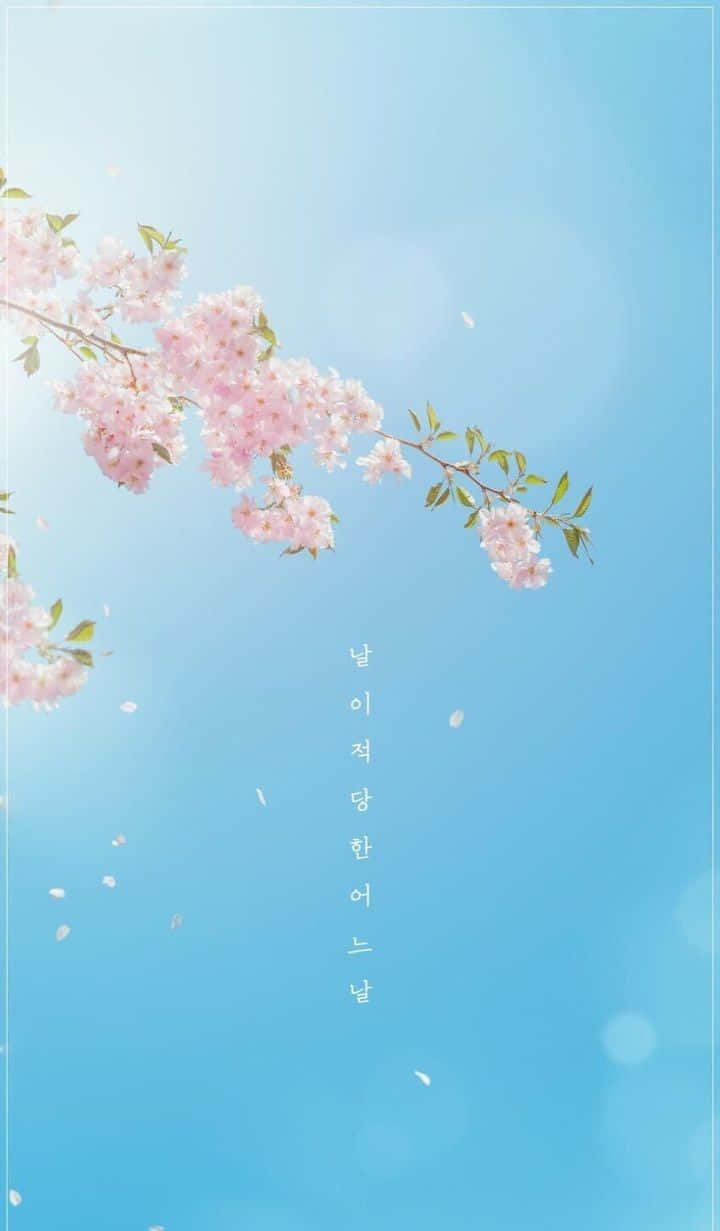 720x1231 Download Embrace beauty with a touch of traditional Aesthetic Korean Wallpaper
