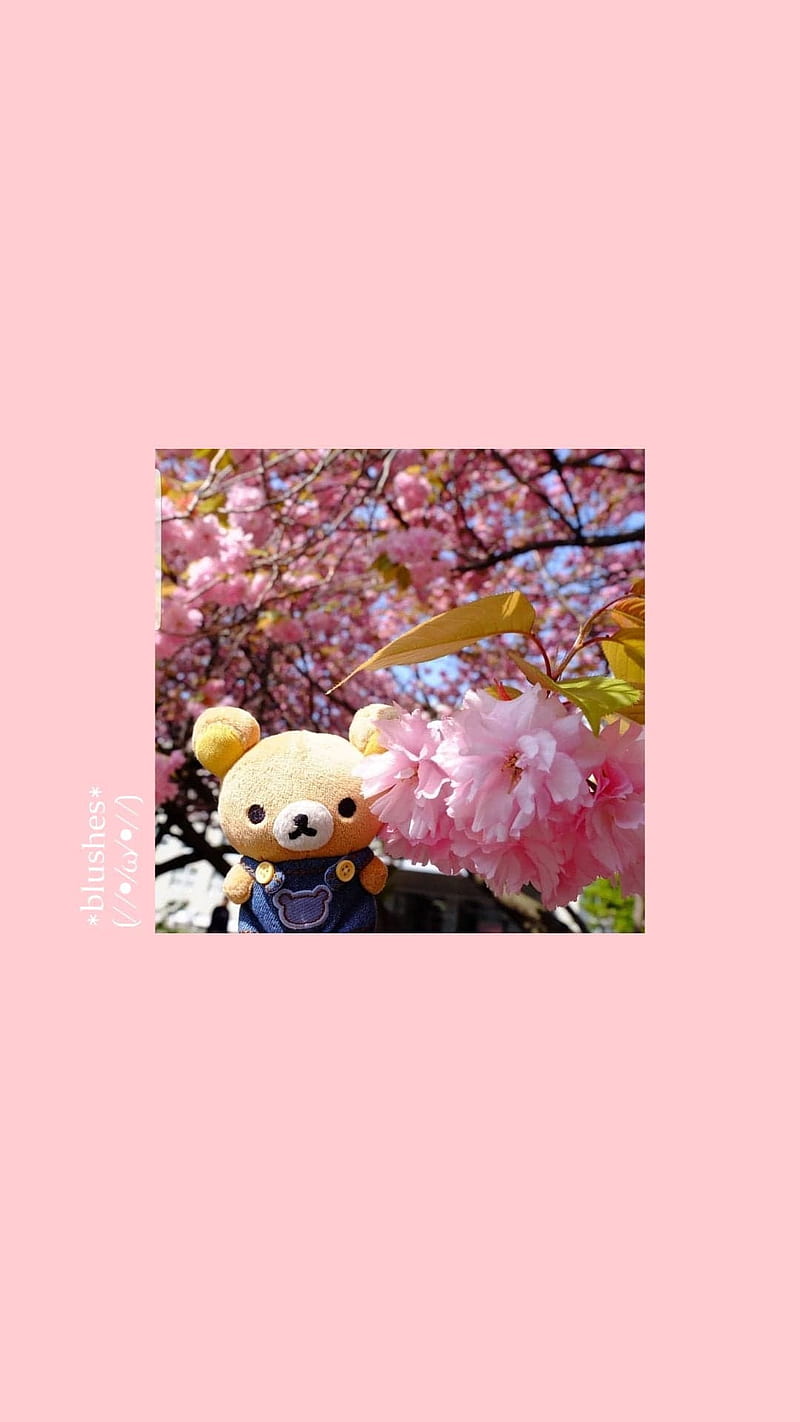 800x1422 Kawaii bear, aesthetic, aesthetic pink, love, pink, HD phone wallpaper