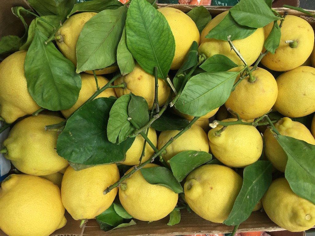 1024x768 Lemons w/ Leaf (new season coming shortly)