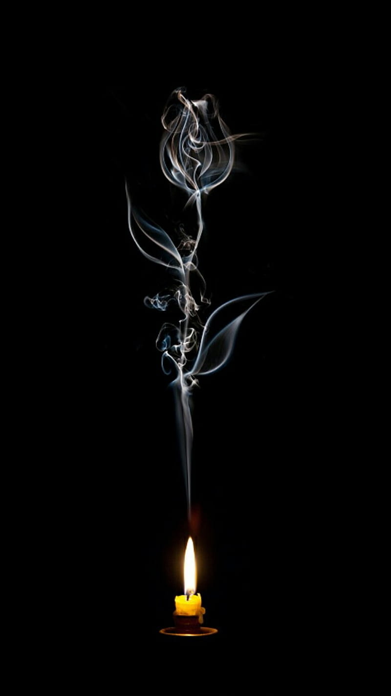 800x1422 Candle, black, flower, HD phone wallpaper
