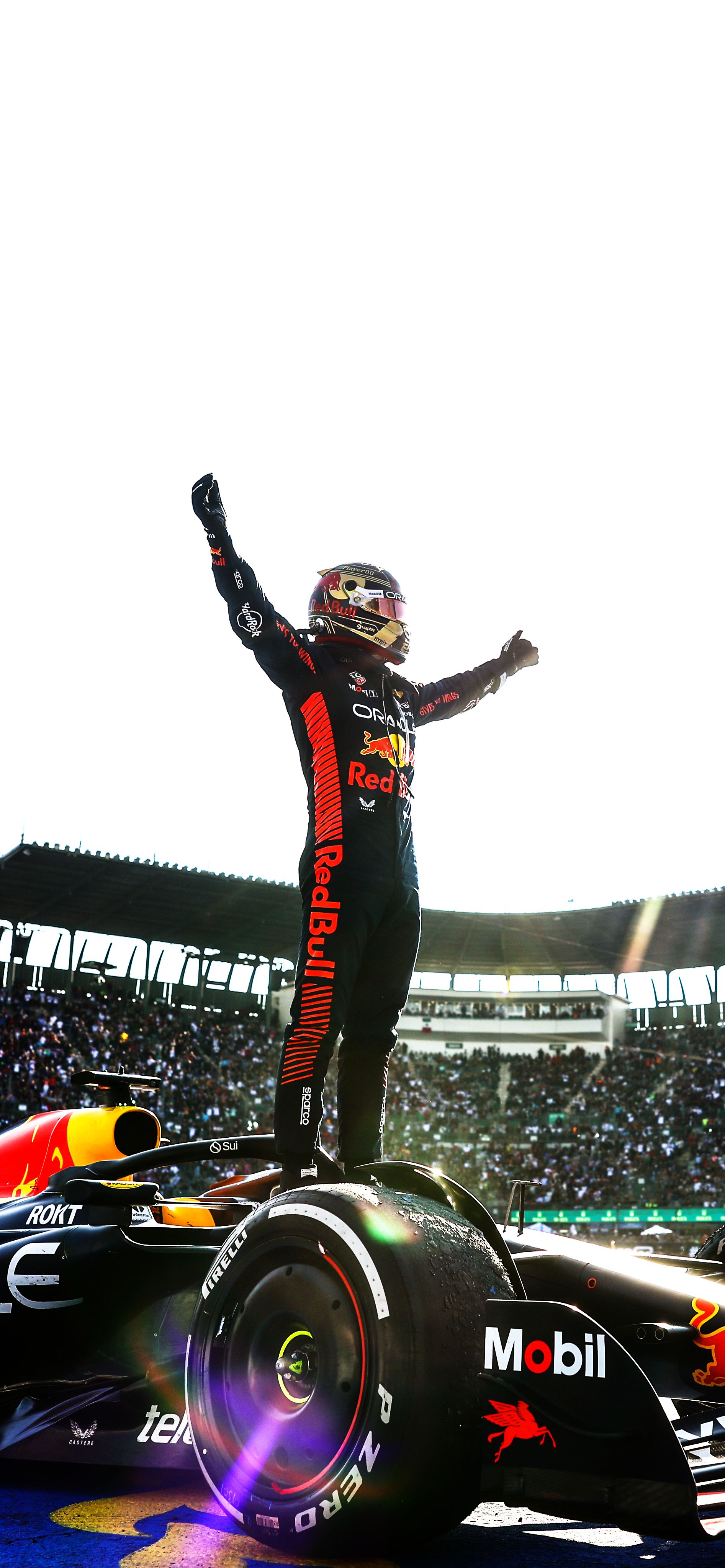 1893x4096 Max Verstappen Mobile Wallpaper