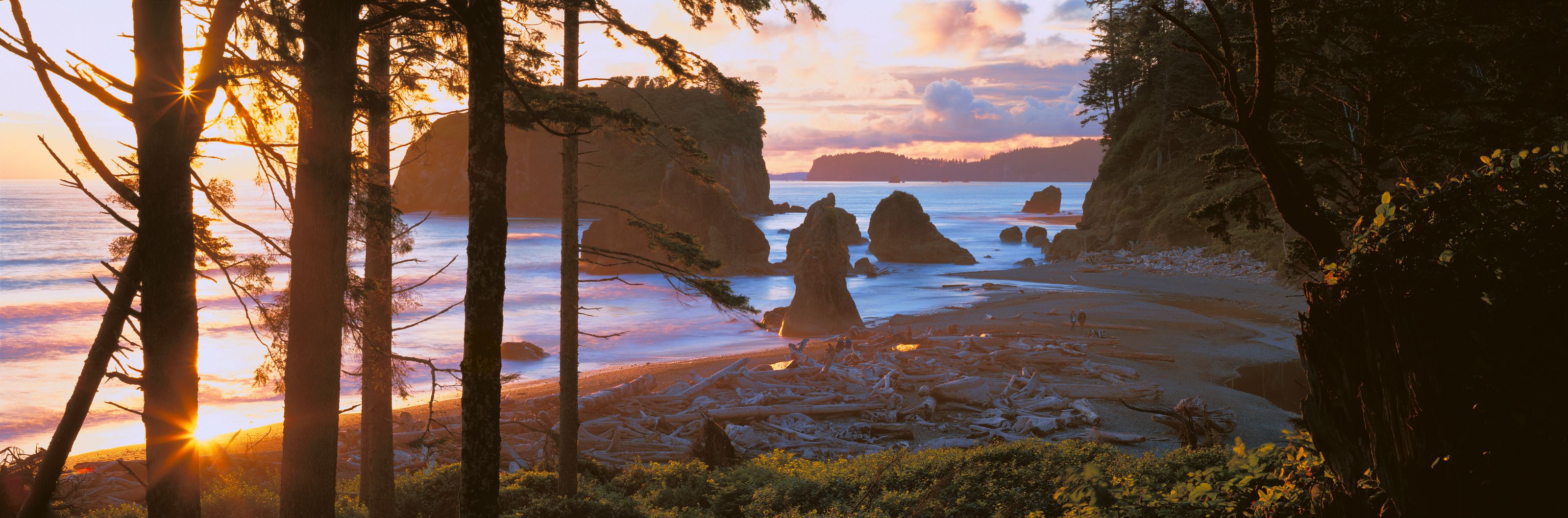 3200x1058 Ruby Beach at Sunset, Olympic National Park, Washington Wall Mural
