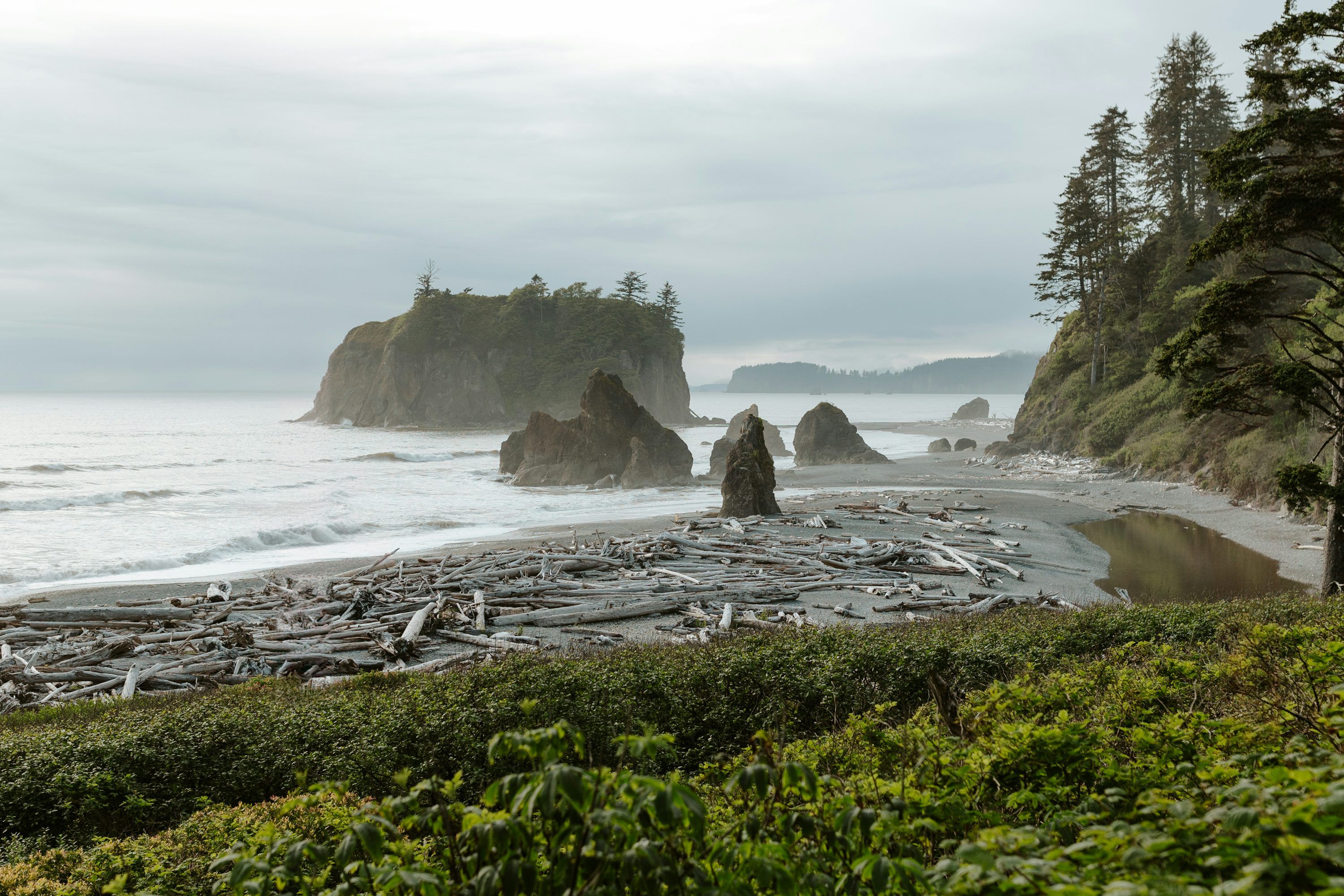 3000x2000 Ruby Beach Picture. Download Free Image