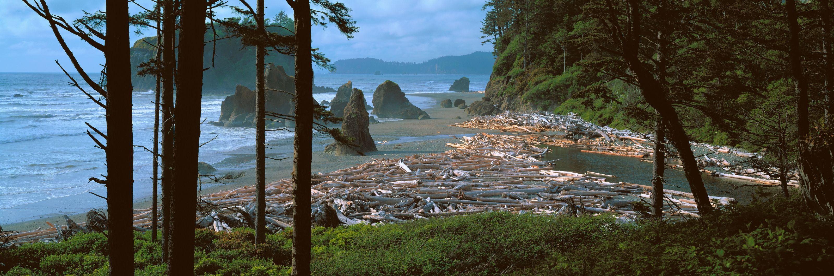 3200x1062 Ruby Beach, Olympic National Park, Washington Wall Mural