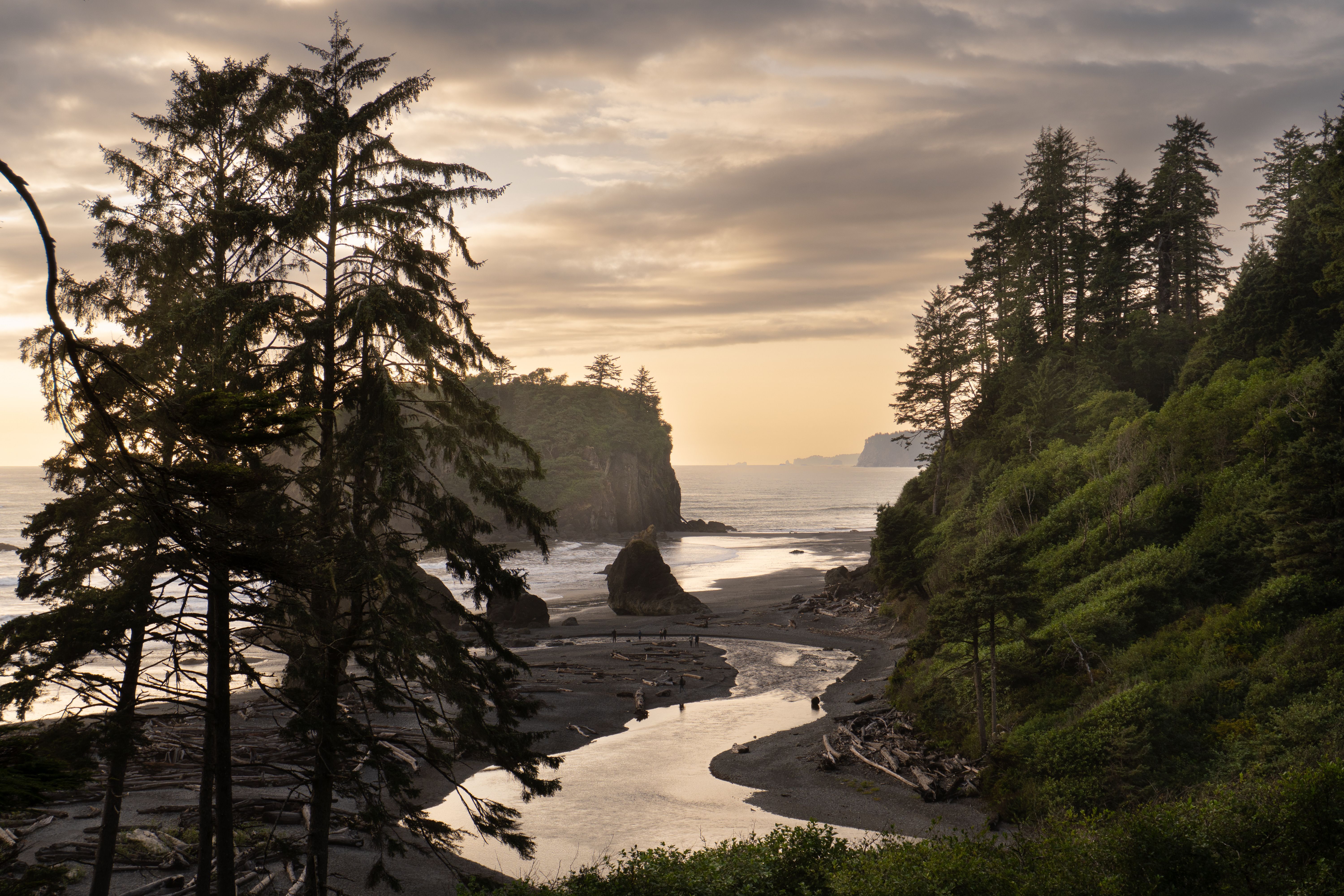 6000x4000 View of the Ruby Beach in the Olympic National Park in Washington, USA · Free