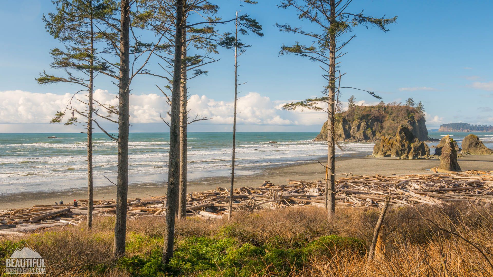 1920x1080 Ruby Beach, Olympic National Park, WA