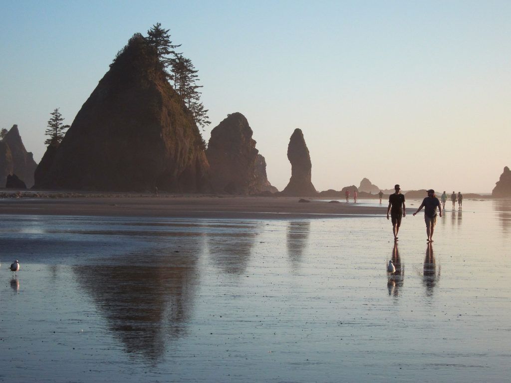 1024x768 Visit Kalaloch Beaches. Things To Do. The Olympic Peninsula