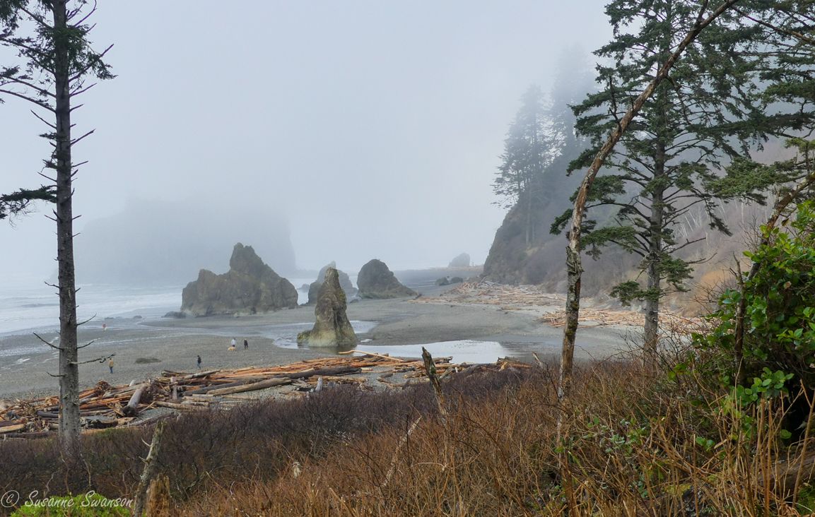 1153x732 Enjoying the Elements at Magnificent Ruby Beach