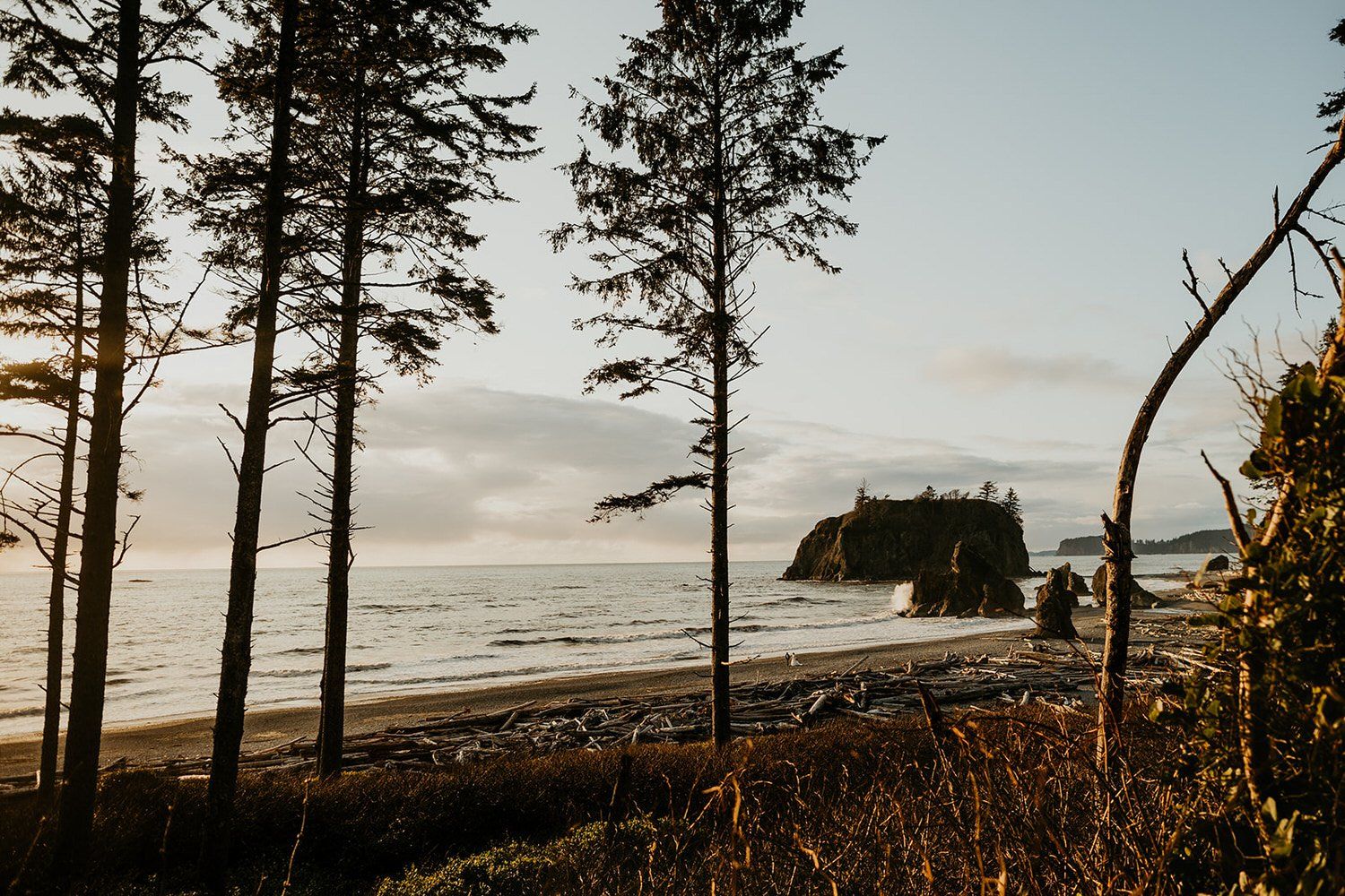 1500x1000 A Queer Ruby Beach Elopement in Olympic National Park