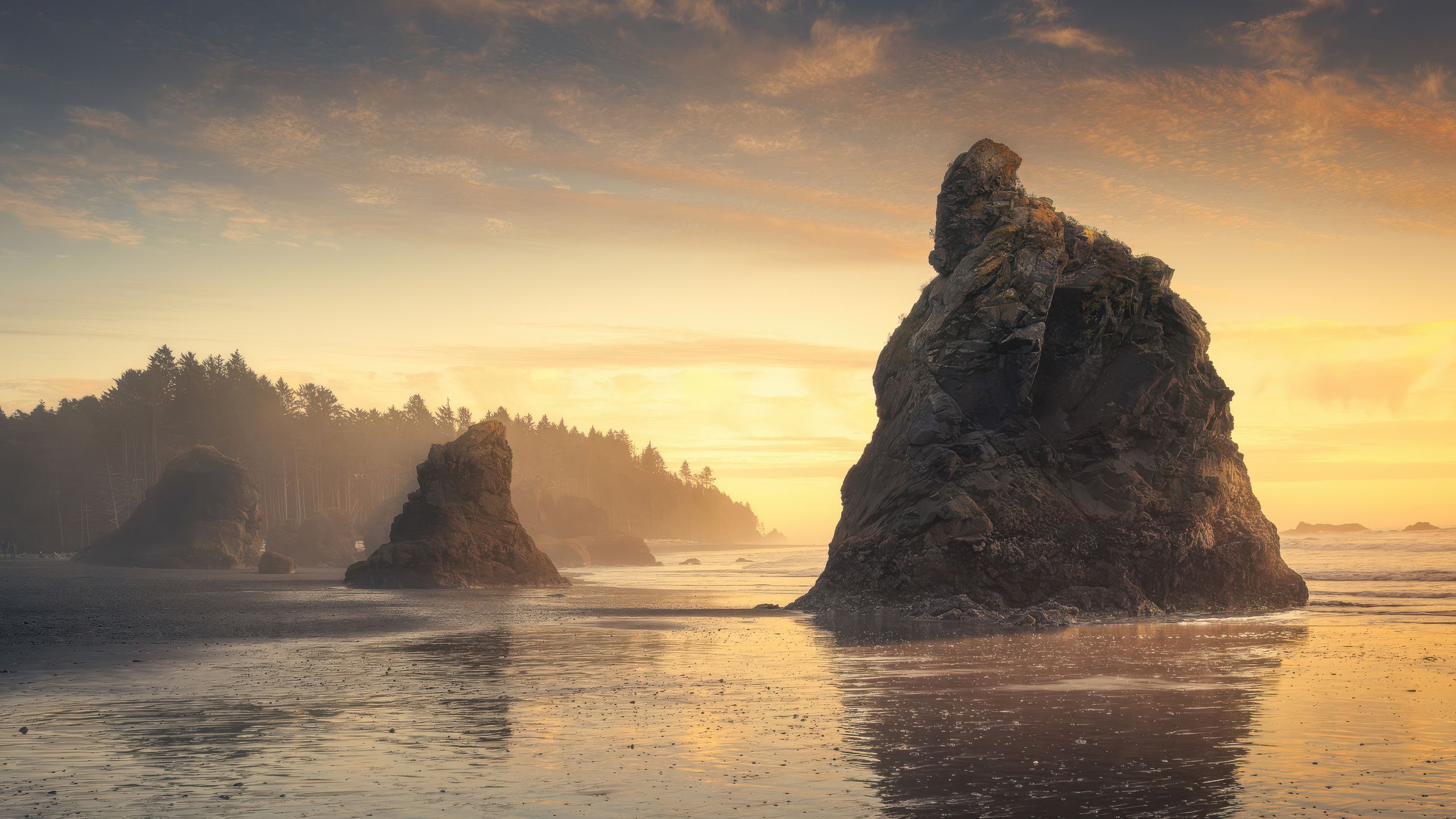 2560x1440 Golden Glow At Ruby Beach Washington Usa 1440P Resolution , HD 4k Wallpaper, Image, Background, Photos and Picture