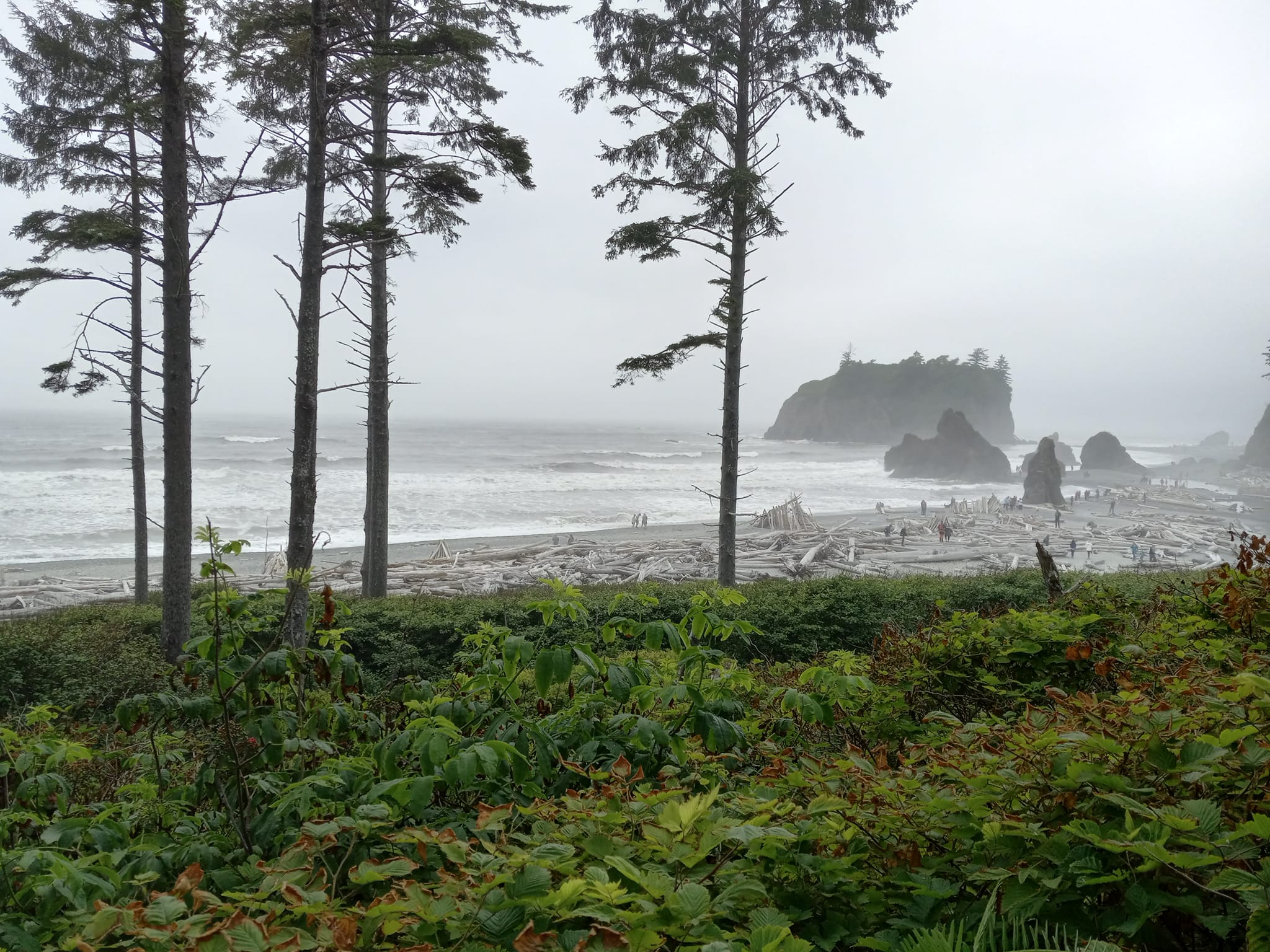2048x1536 Trip to Ruby Beach and (Almost) The Hoh Rainforest