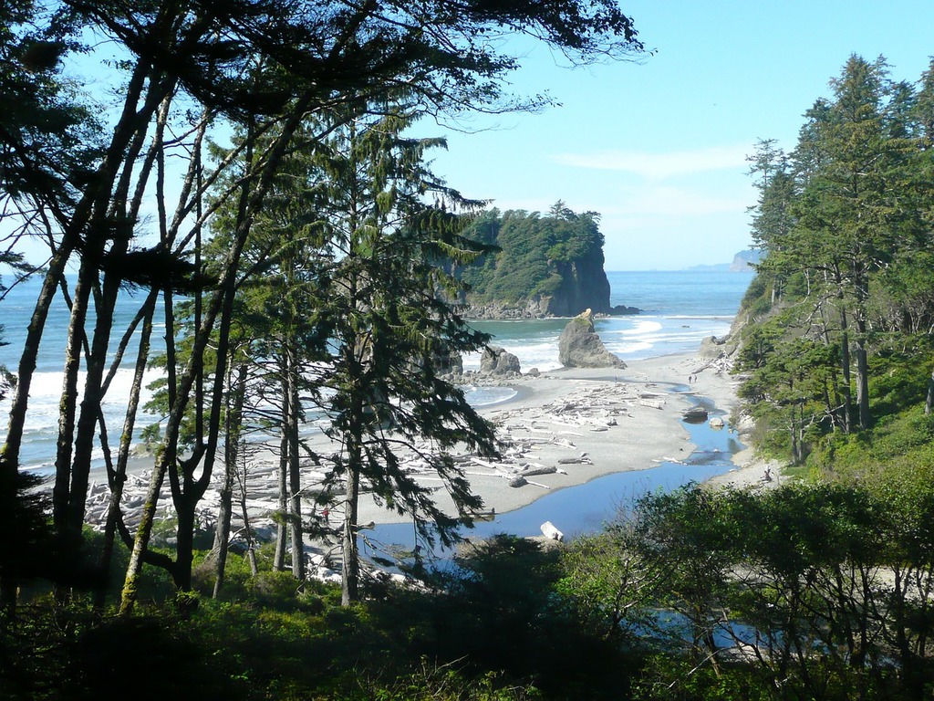 1024x768 A river running through a forest next to a beach. Ruby