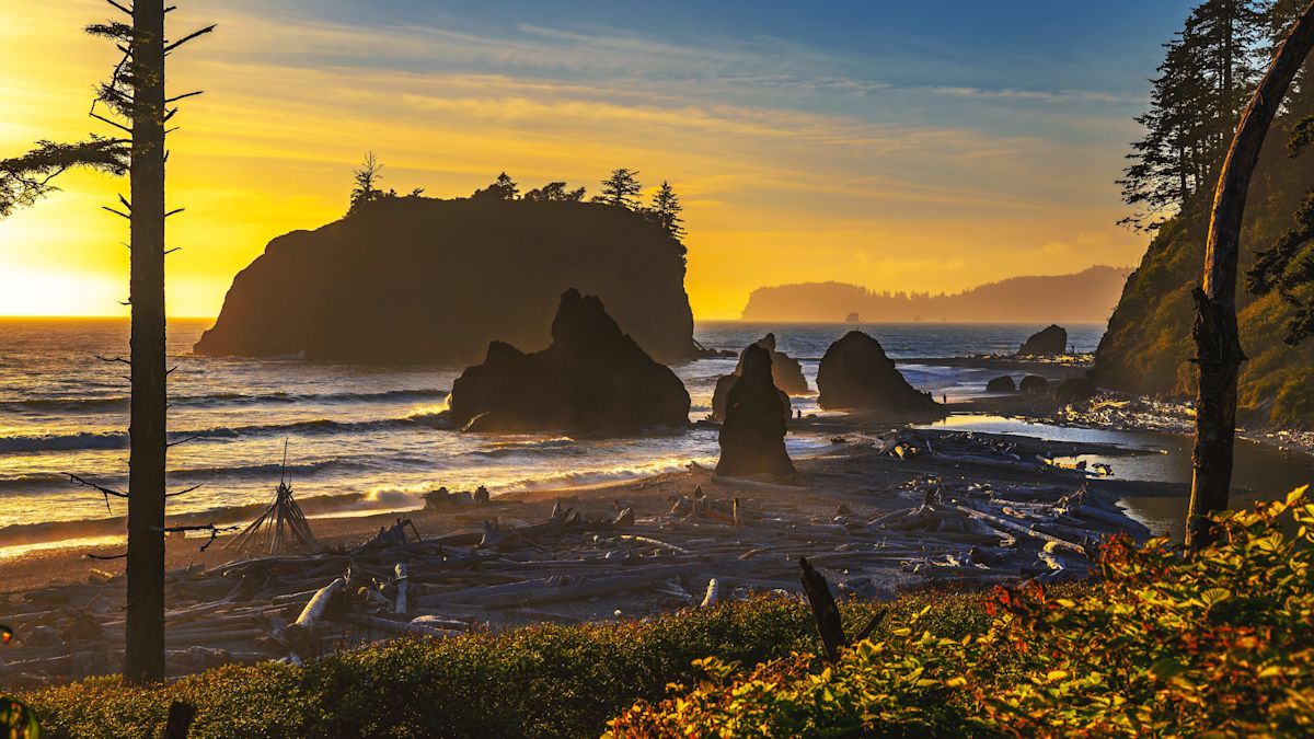 1200x675 Why You Should Plan a Road Trip to Olympic National Park and the Olympic Peninsula