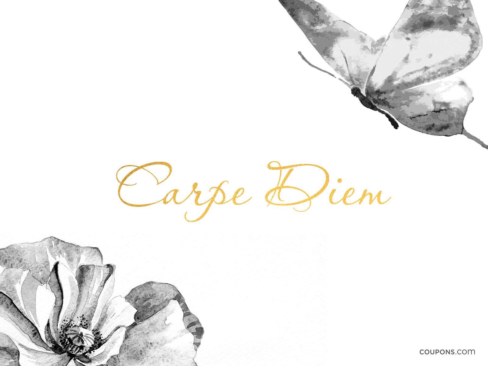1600x1200 Carpe Diem Wallpaper
