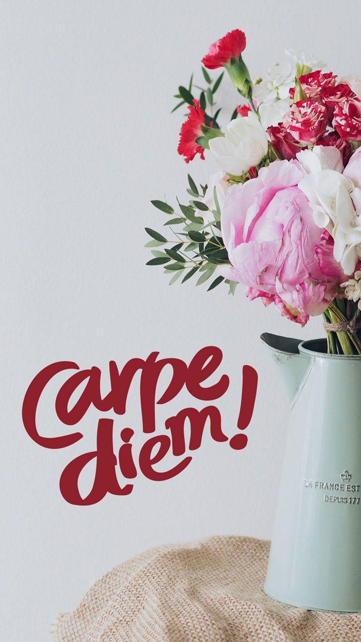 736x1308 iPhone Wallpaper Artsy Carpe Diem