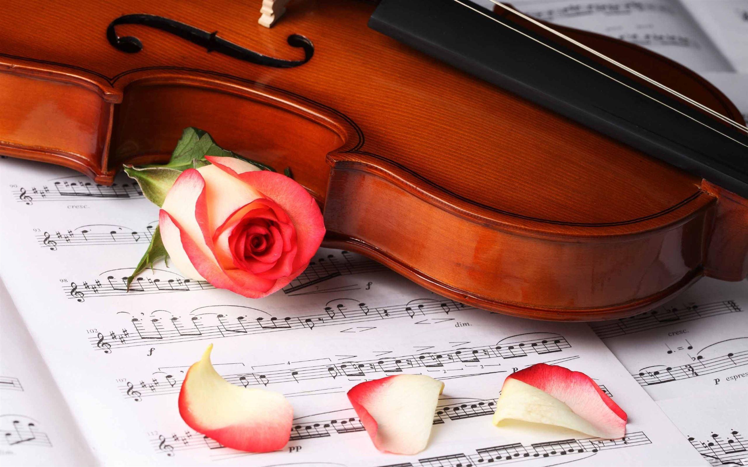 2560x1600 Classical Music MacBook Air Wallpaper Download