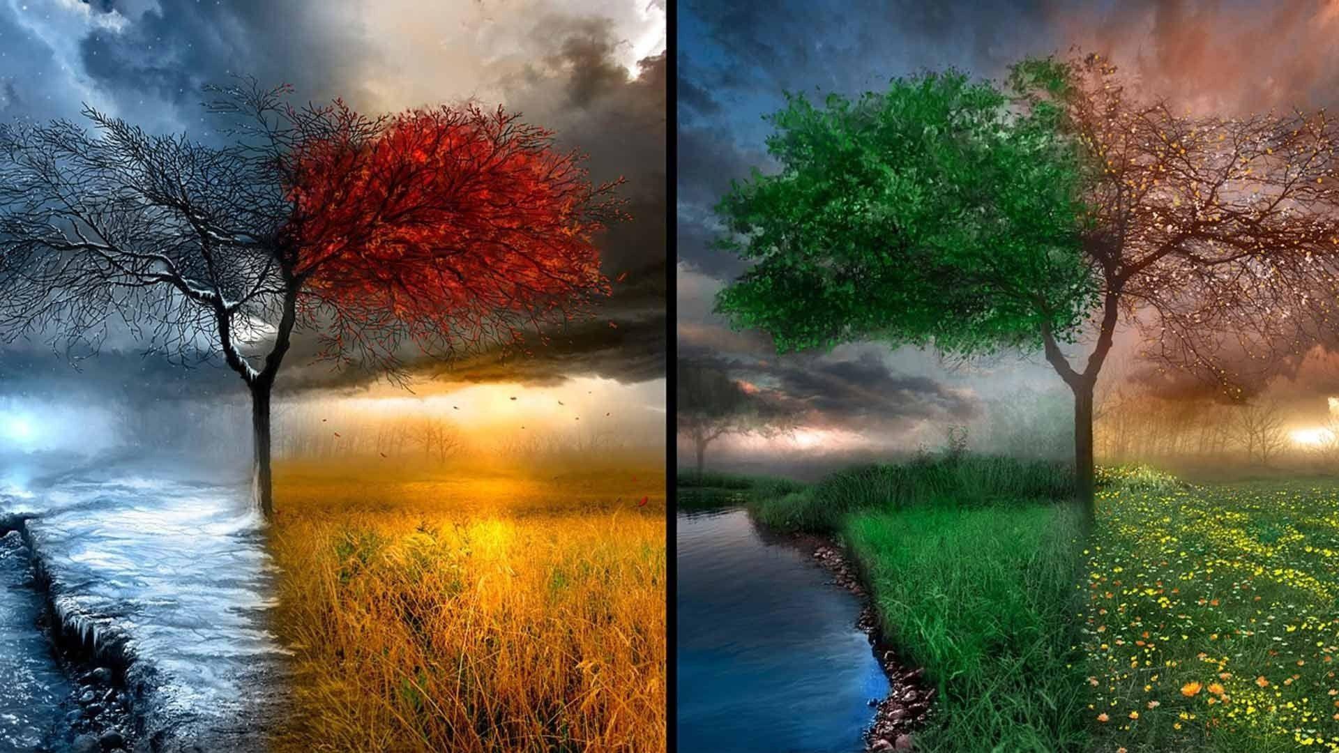 1920x1080 seasons, Digital Art, Nature, Drawing Wallpaper HD / Desktop and Mobile Background