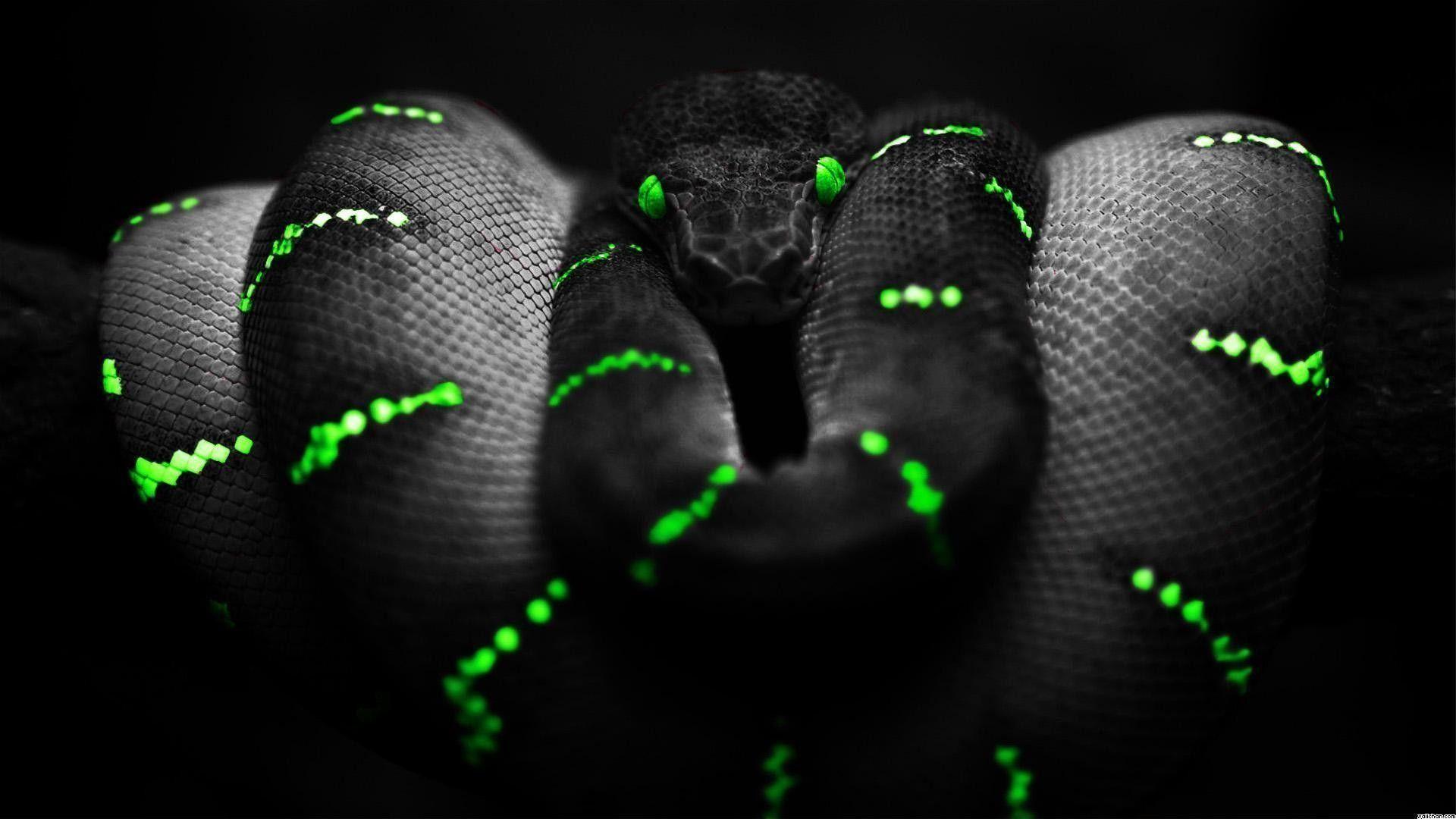 1920x1080 Black and Green Wallpaper