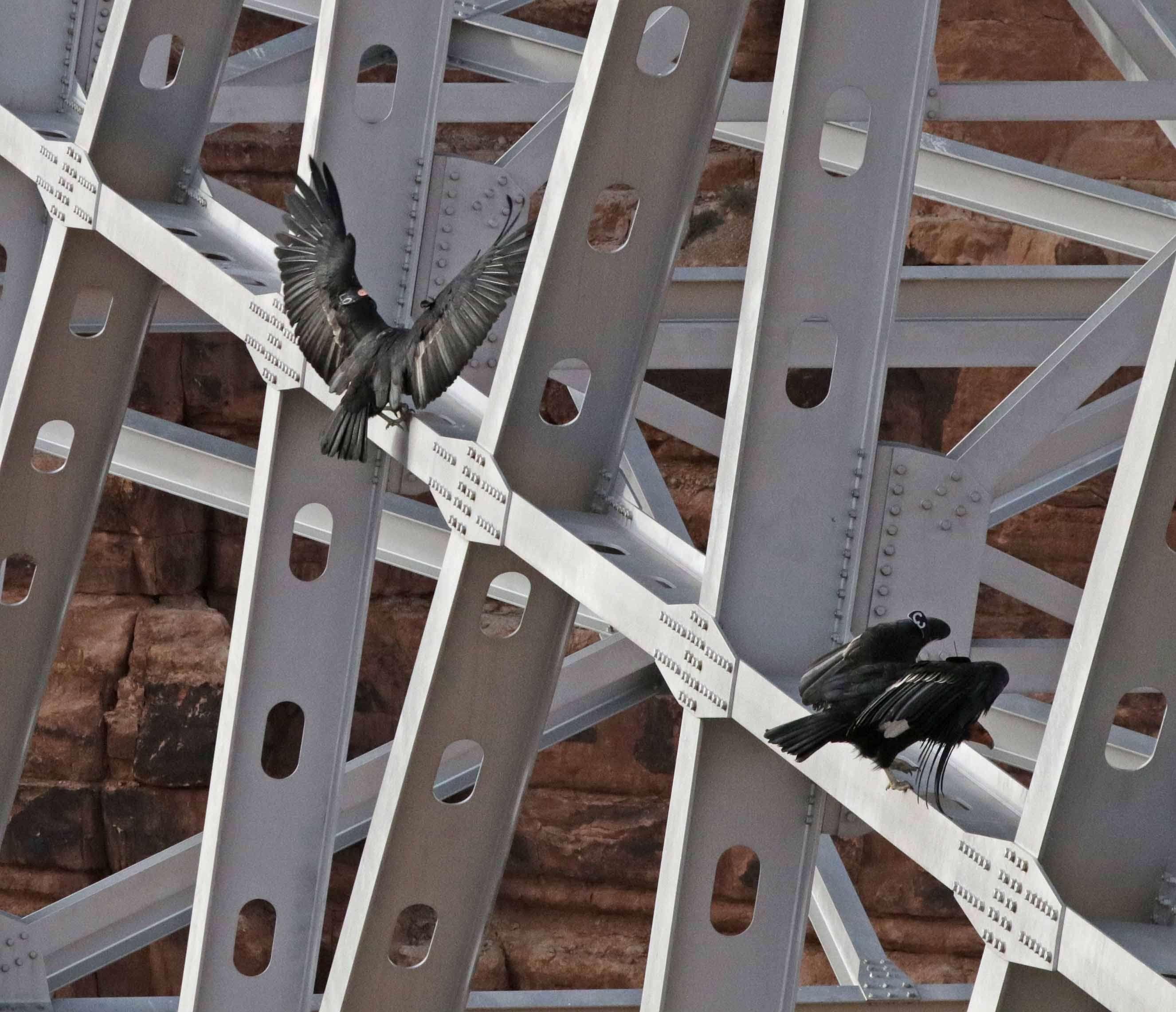 2652x2280 scaffolding HD wallpaper, background