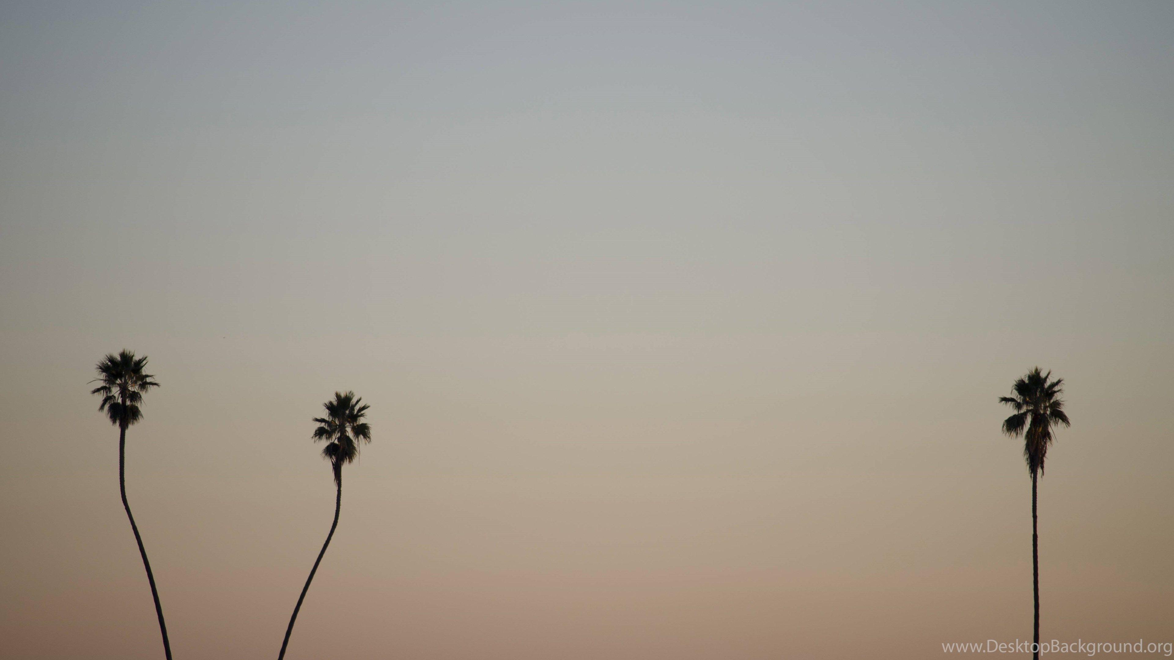 3840x2160 Minimalist Mac Desktop With Minimalist Icon Set And Live Wallpaper. Desktop Background
