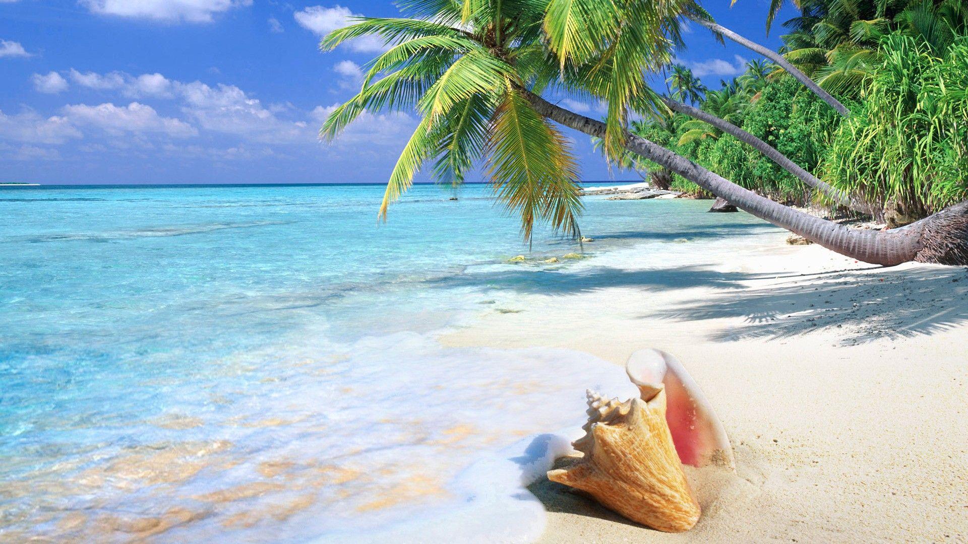 Beach Scenes Desktop Wallpapers - Top Free Beach Scenes Desktop Backgrounds - WallpaperAccess